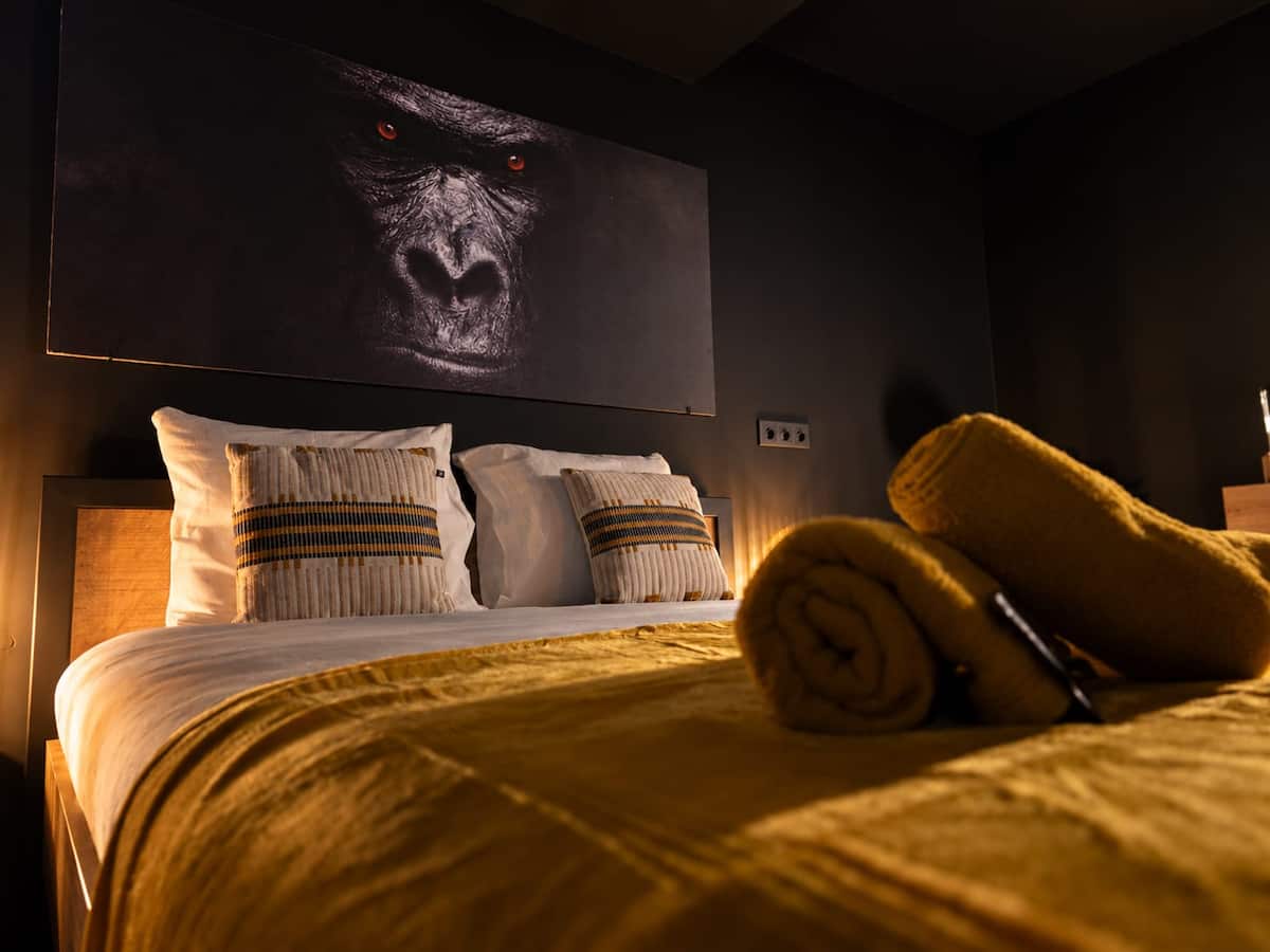 Gorilla Suite 5 — photo 12 sur 18