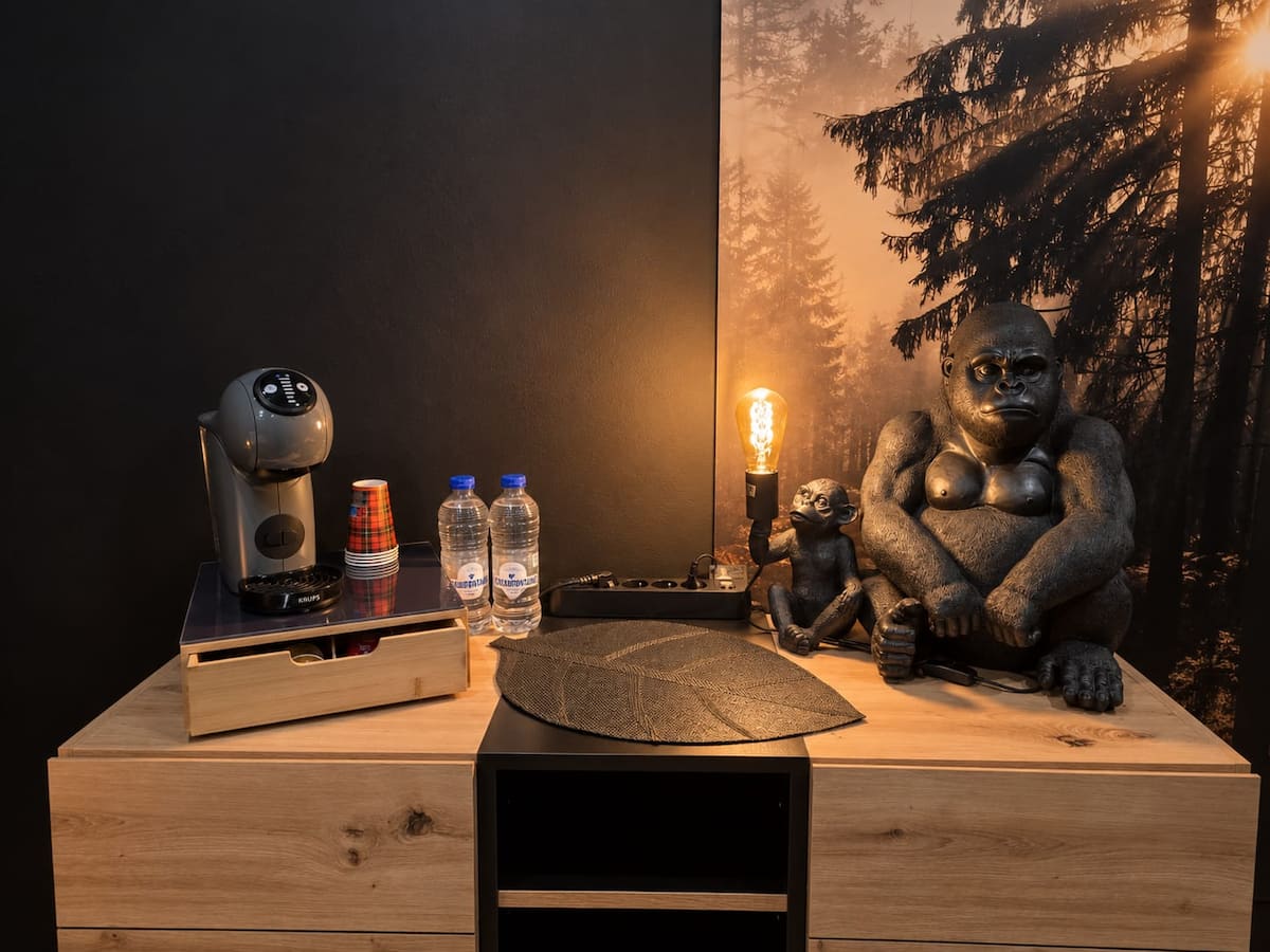 Gorilla Suite 5 — photo 16 sur 18