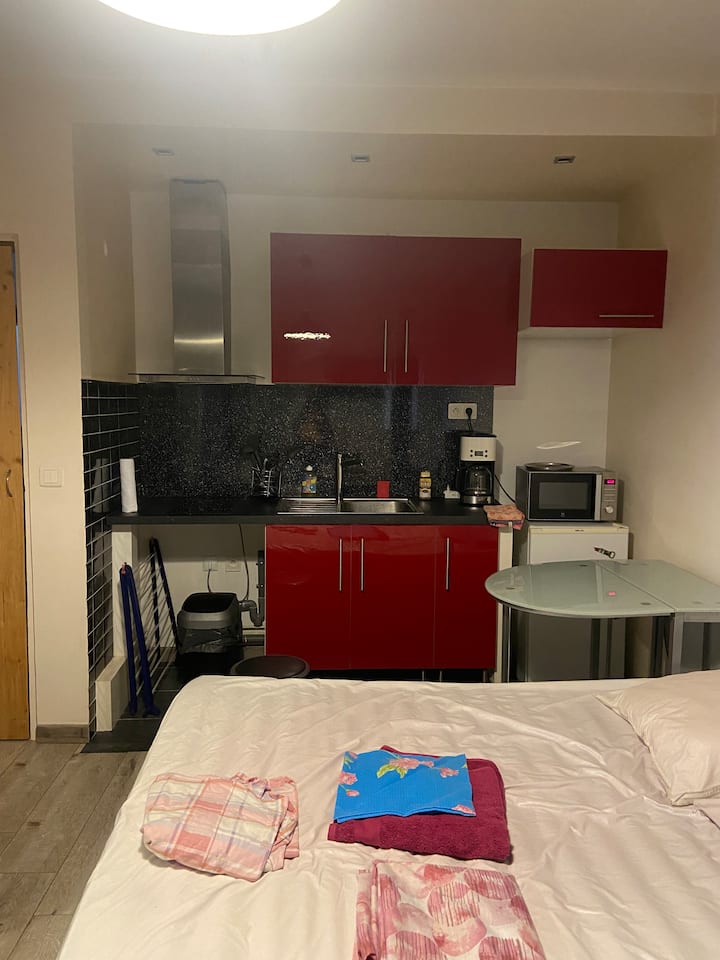 Studio Cuisine Salle Bain/3 Mn Pied Maison Examen - Montrouge