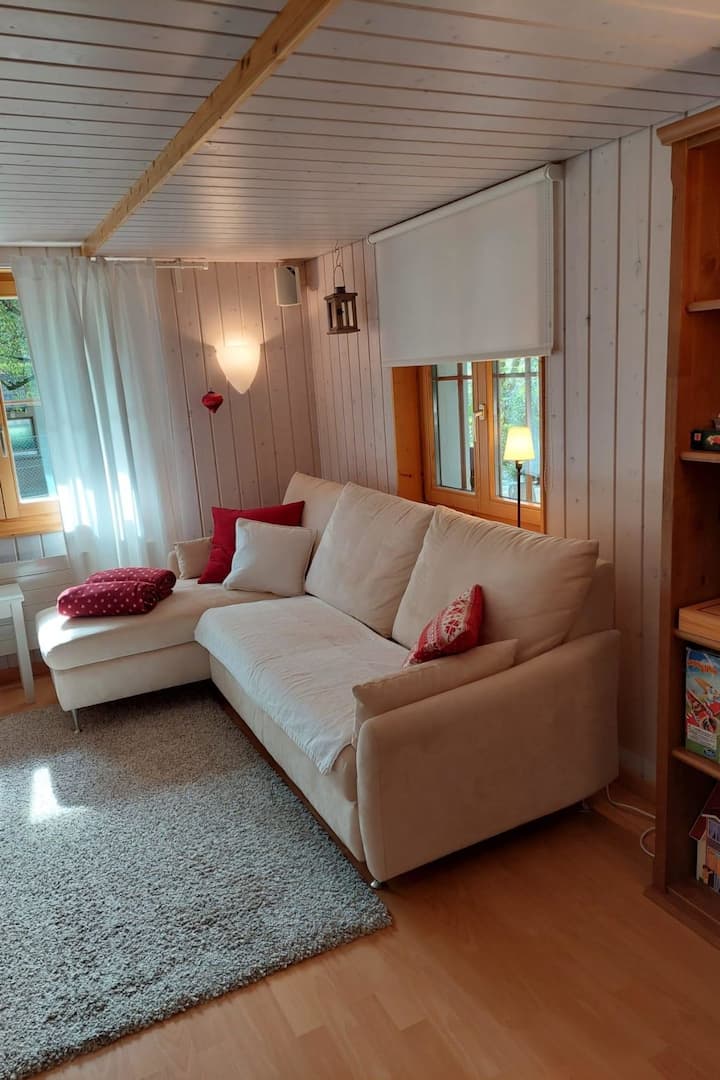Chalet Edelweiss Appartement/fewo, Dusche, Wc, 2 S - Frutigen