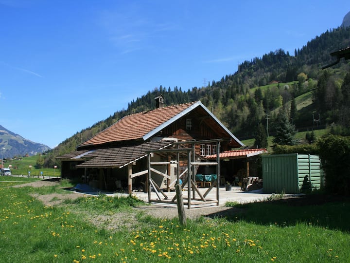 Chalet Bifigen Appartement/fewo, Dusche, Wc 2.5-zi - Frutigen