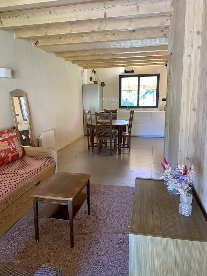 Appartement Ambiance Chalet à Doussard - Doussard