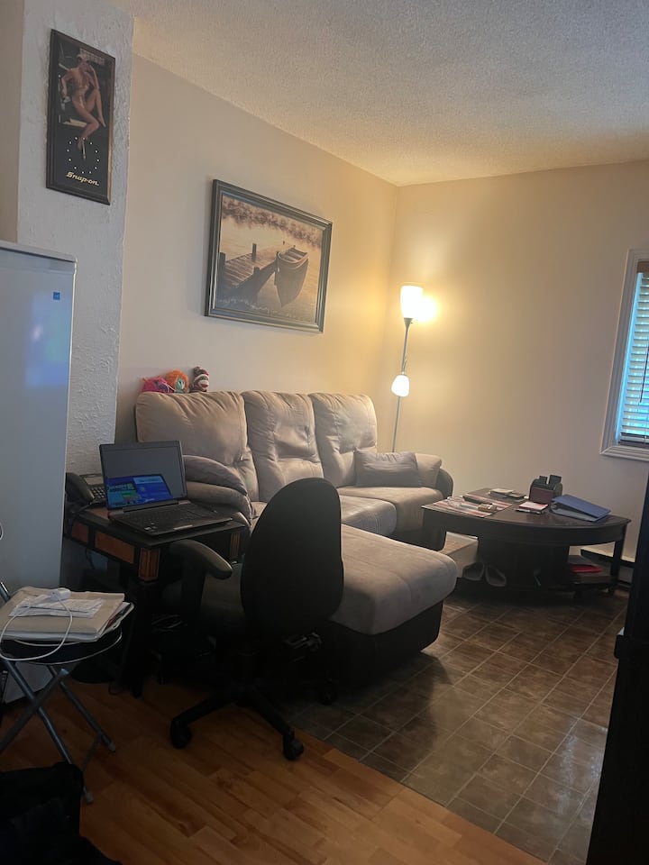 Beautiful 1-bedroom Apartment  Downtown Hull - Gatineau