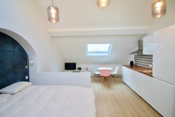 Great Studio - City Centre - Brussels