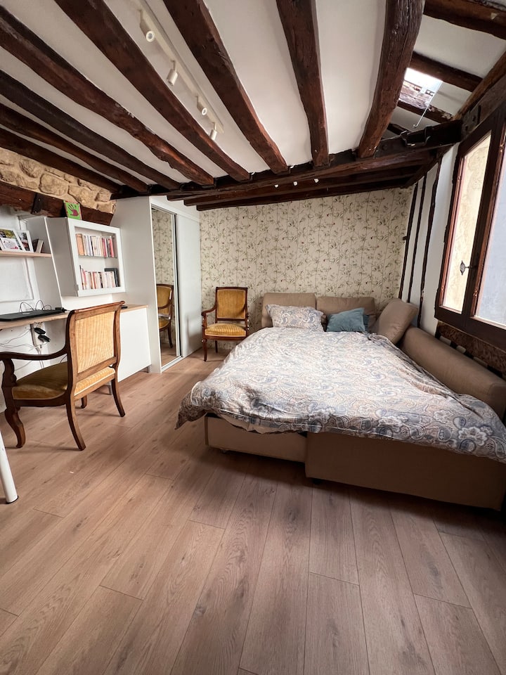 Duplex sous les toits, Le Marais, Paris