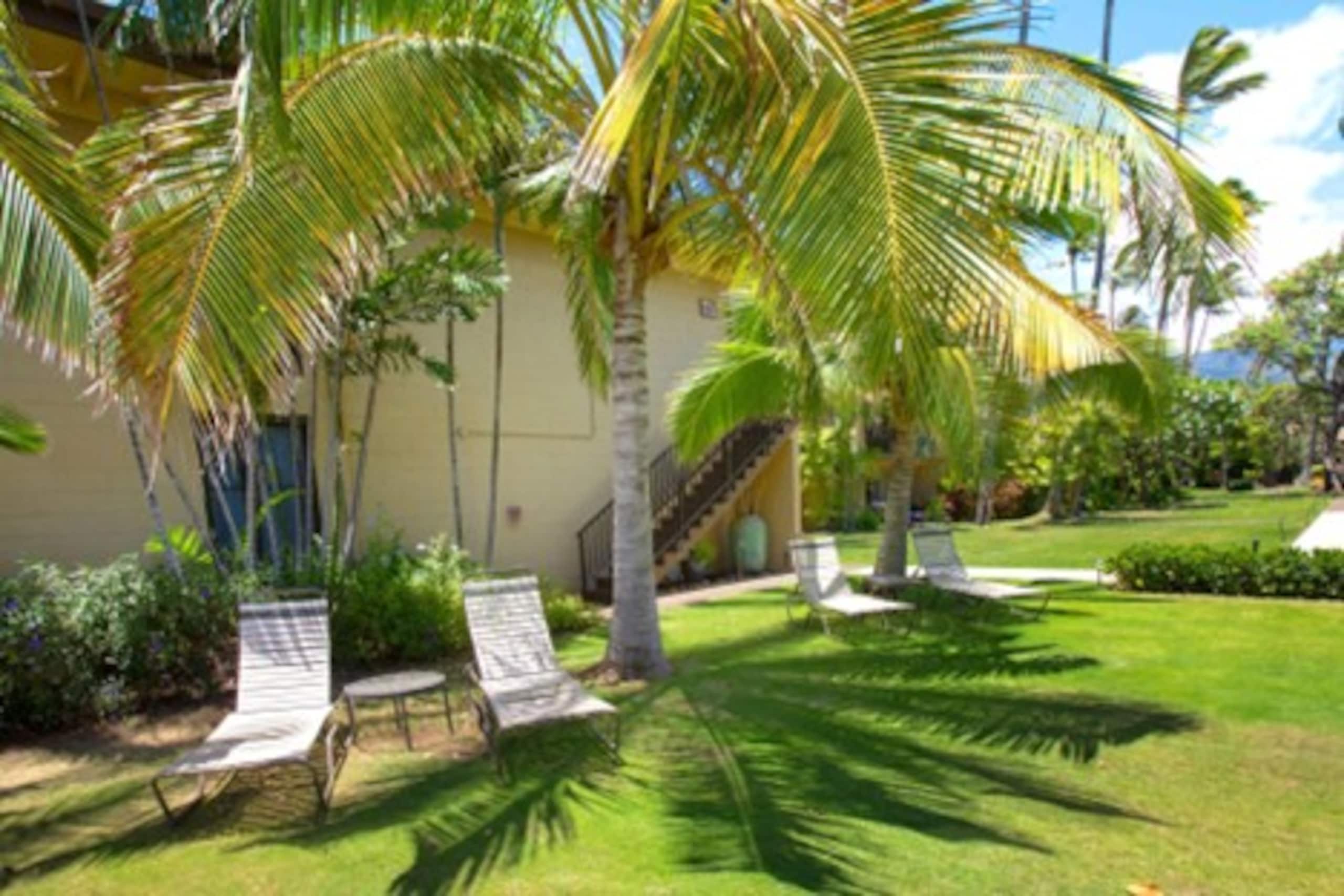 Condo in Lahaina · ★4.52 · 2 bedrooms · 4 beds · 1.5 shared baths - Image 46