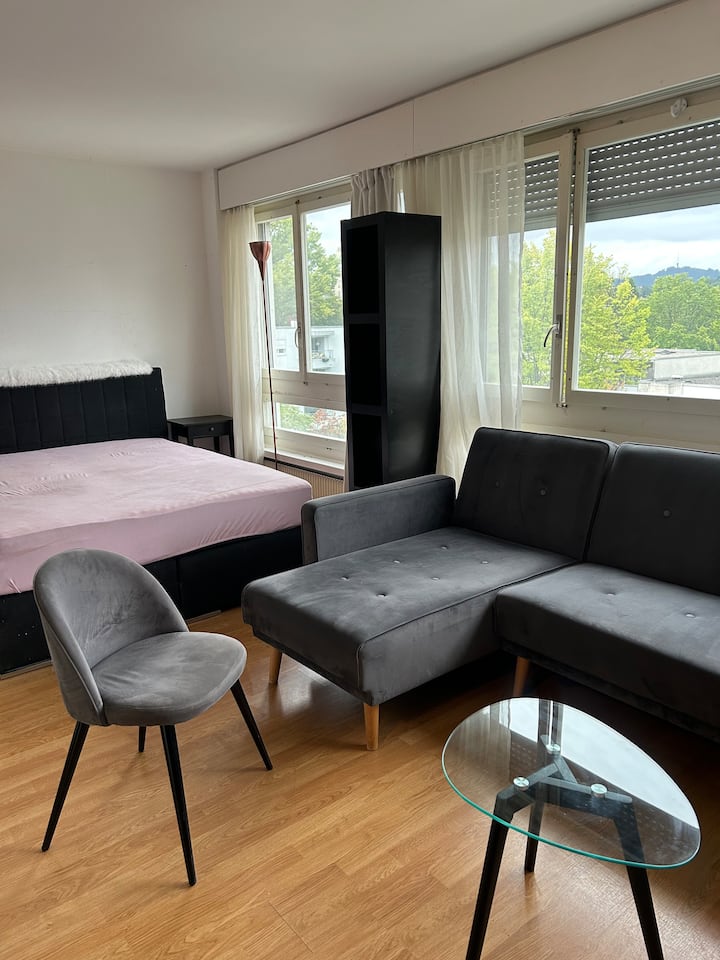 Estudio En Bern - Bern