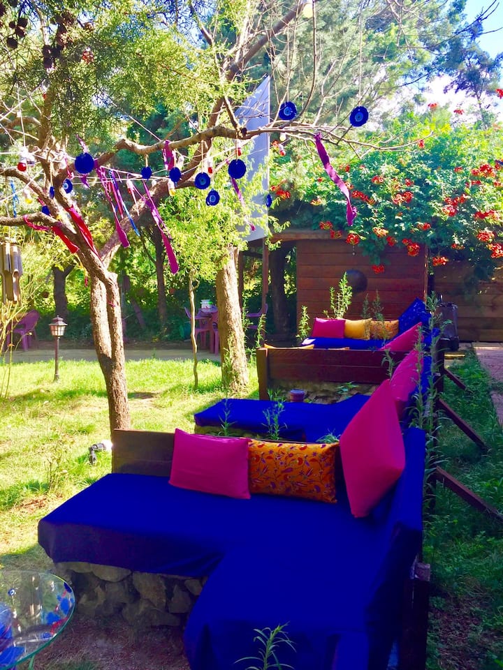 Façiba Oda Papatya - Şile