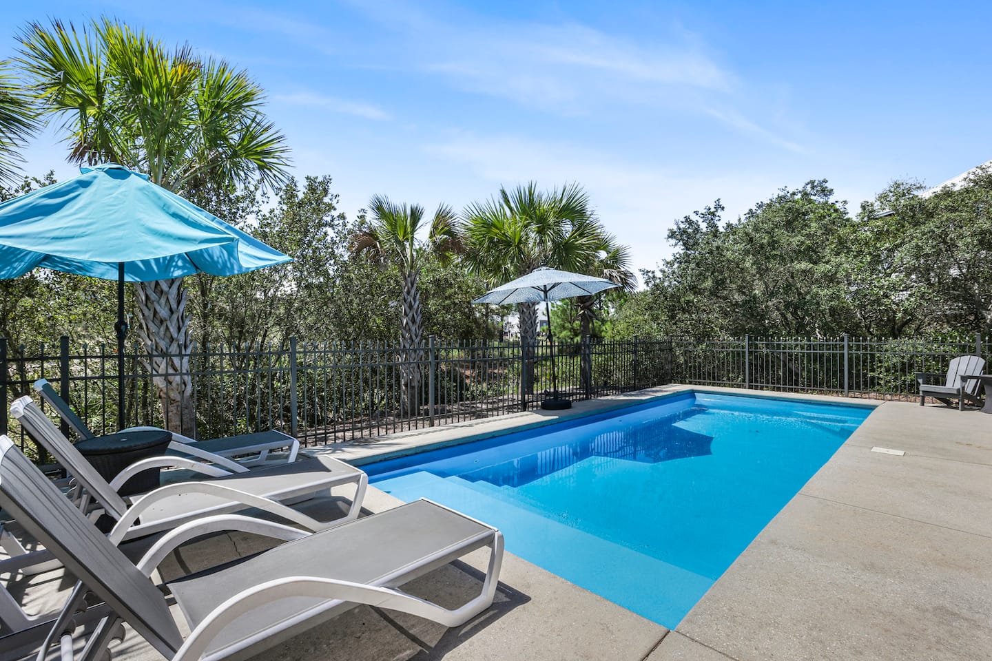 Claim a lounger, tilt the umbrella, and let the afternoon go: the pool is yours alone, fenced in with the palms right over the rail.