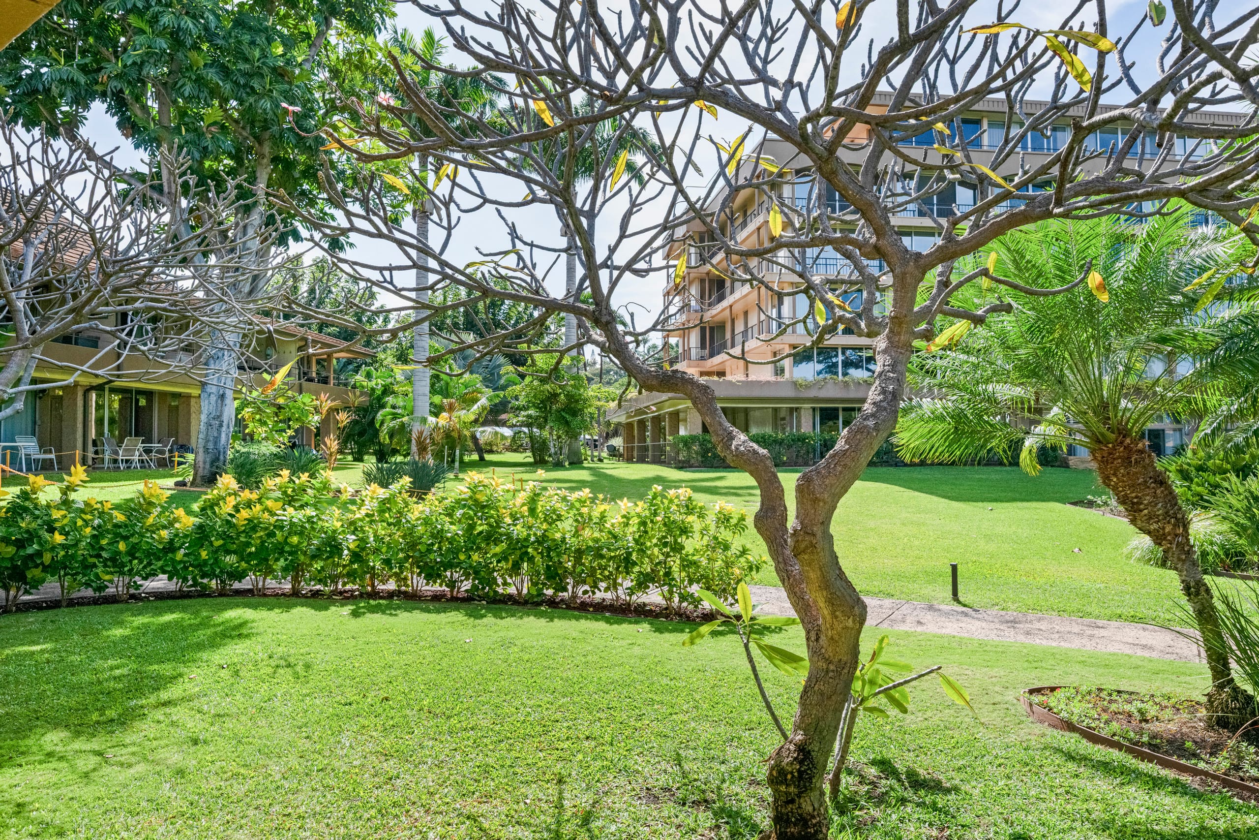 Condo in Lahaina · ★4.8 · Studio · 2 beds · 1 shared bath - Image 28