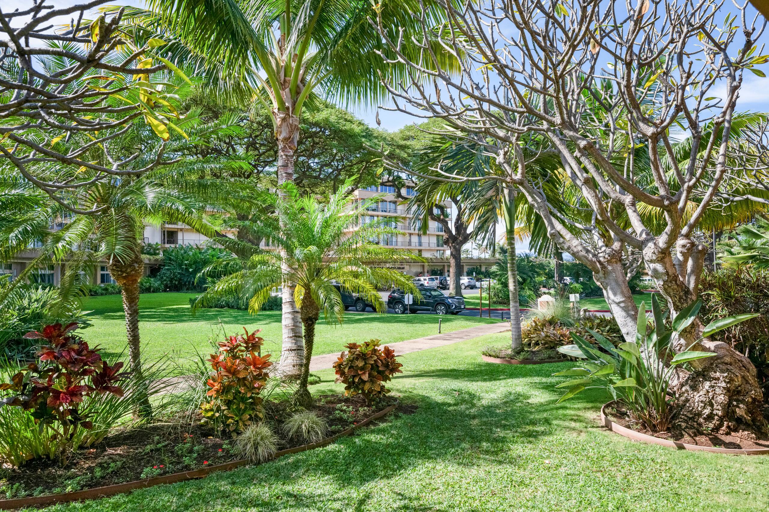 Condo in Lahaina · ★4.8 · Studio · 2 beds · 1 shared bath - Image 27