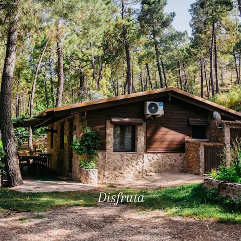 Cabin in the middle of nature, Río Mundo