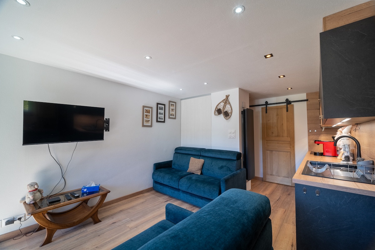 Boule de Neige — appartement 10 personnes aux 2 Alpes, pied des pistes — photo 3