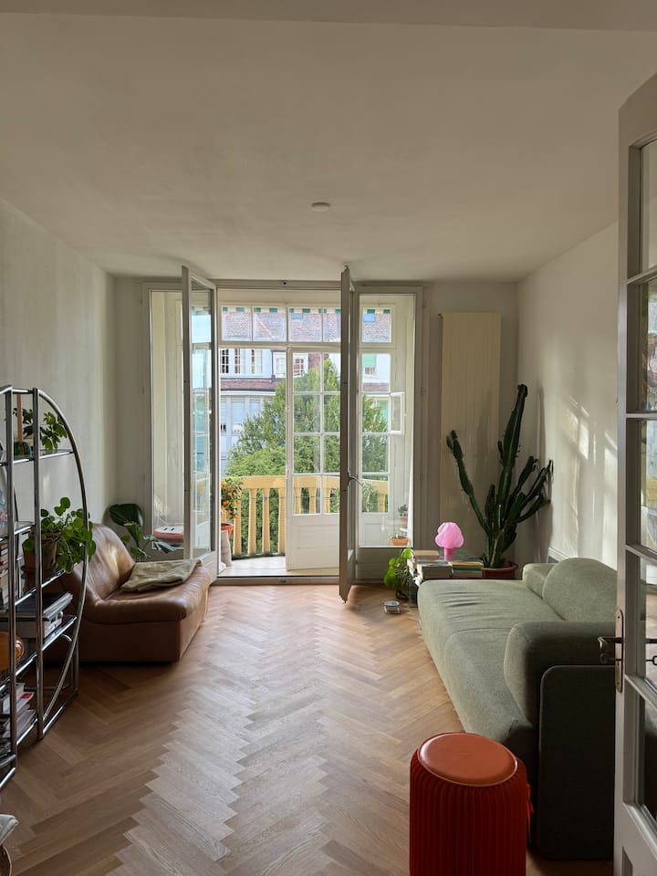 Bright & quiet oasis in an old building - Flats for Rent in Basel ...
