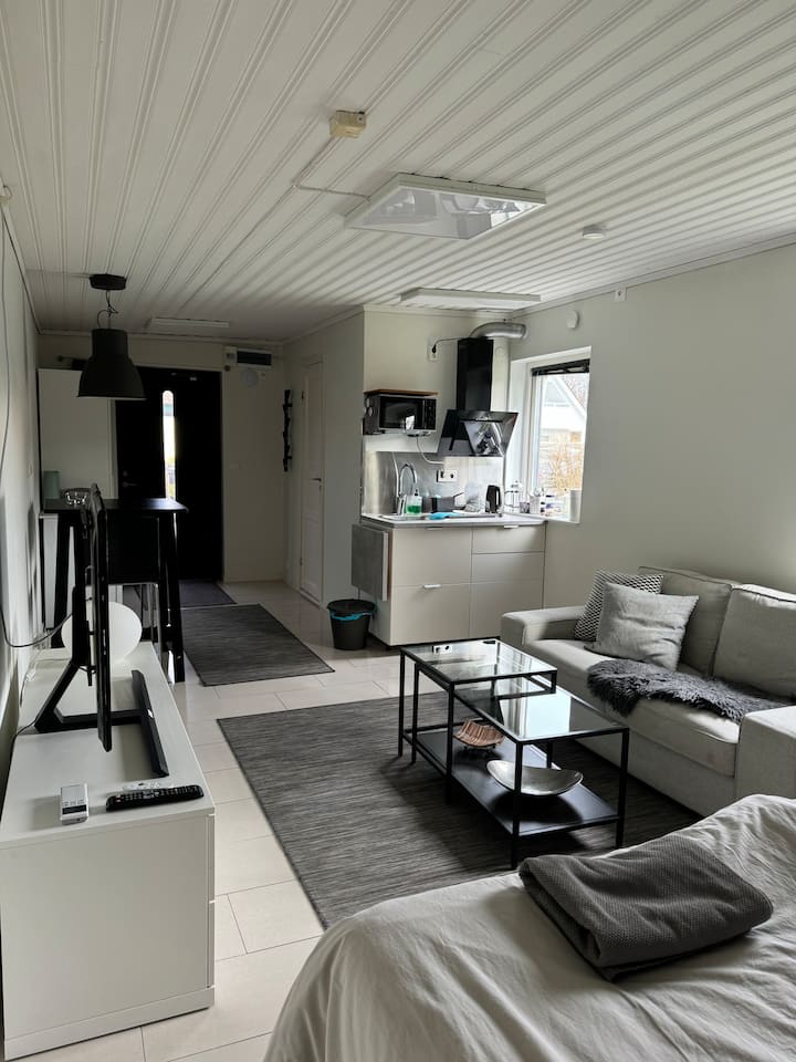 Centralt & Nära Naturen Redigerat Vecko/månadspris - Malmö