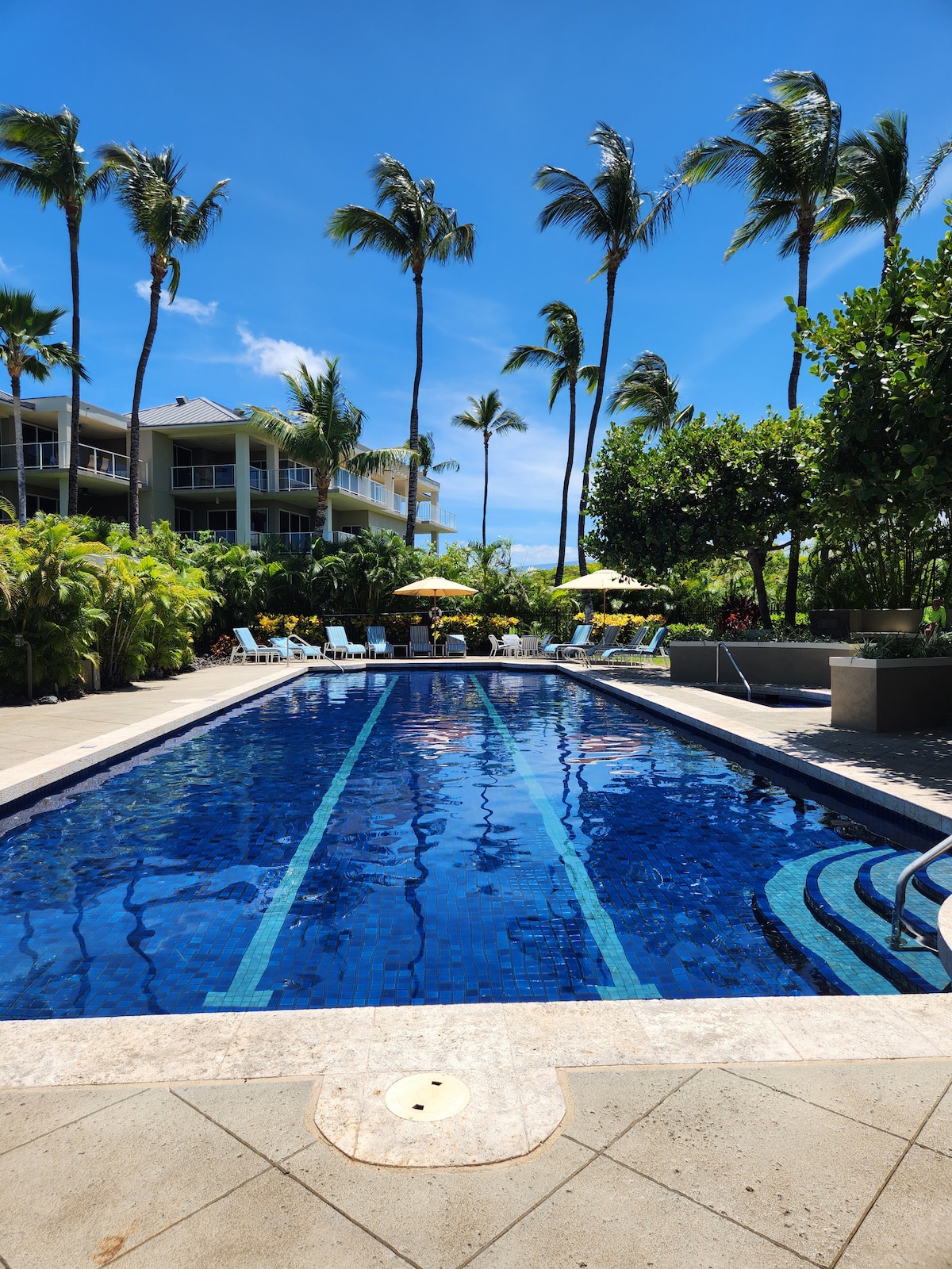 Gorgeous garden view close to pool ground level - Apartments for Rent ...
