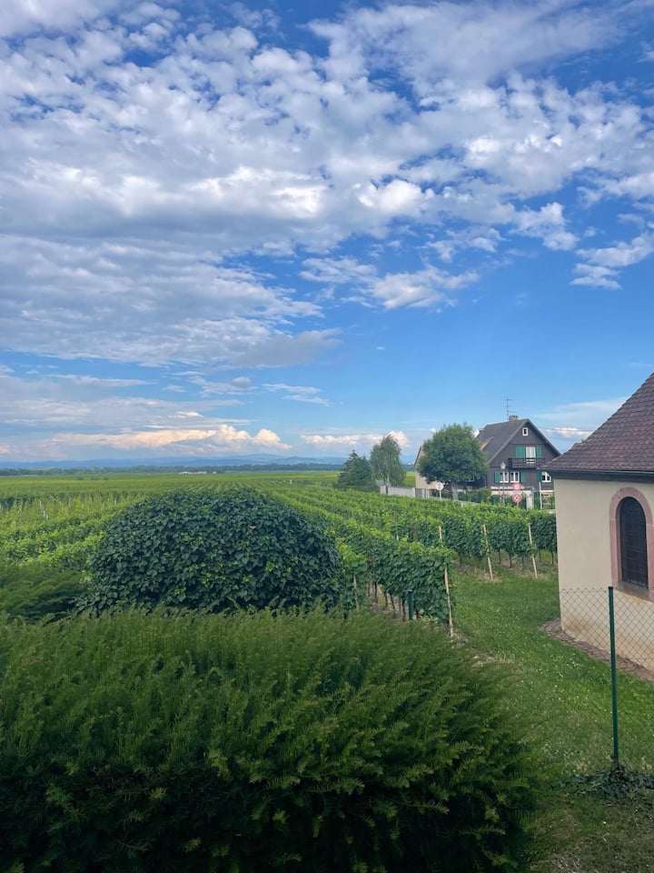 L'alya - Parking - Vue Vignoble - Riquewihr