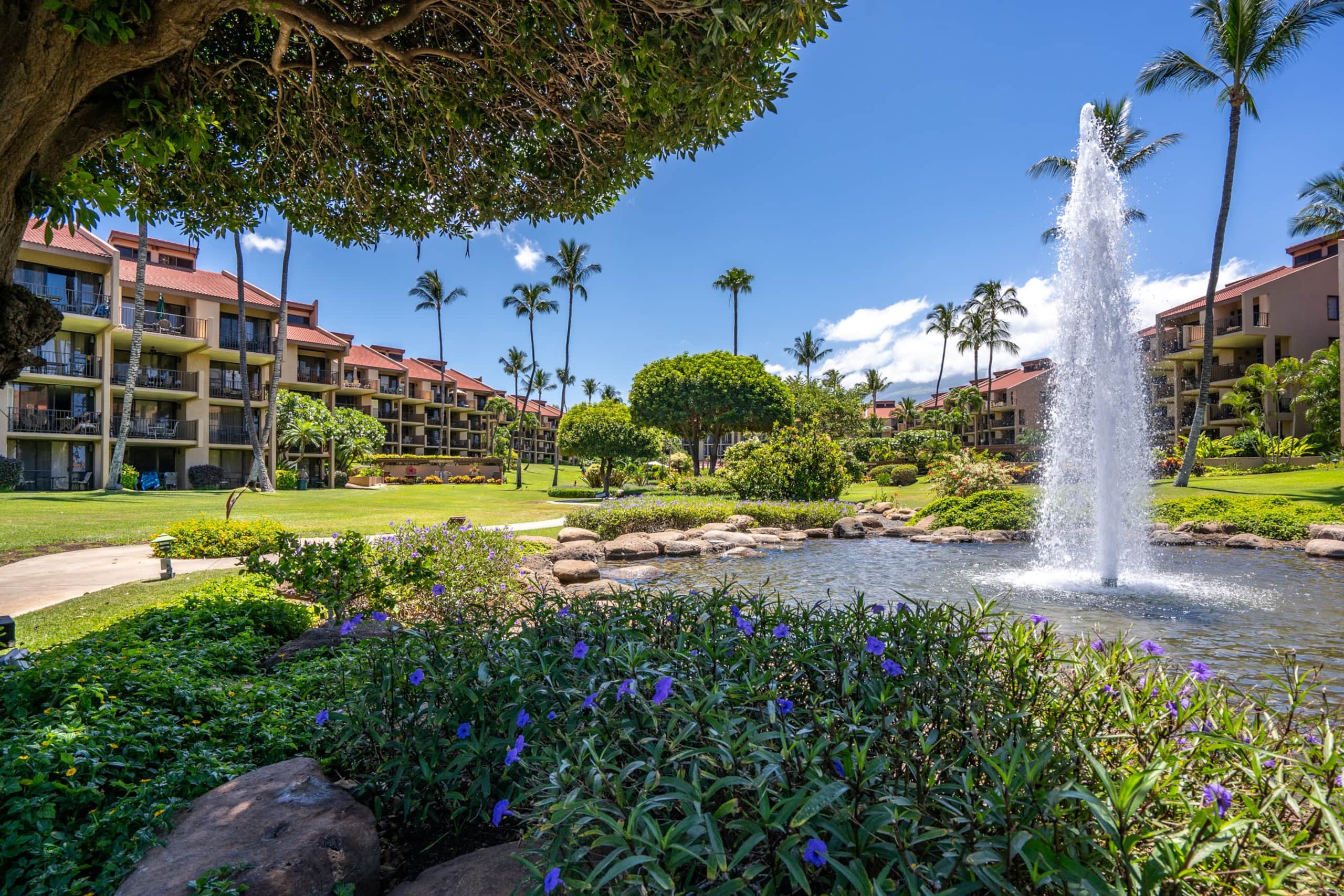 Condo in Kihei · ★4.85 · 1 bedroom · 2 beds · 2 private baths - Image 18
