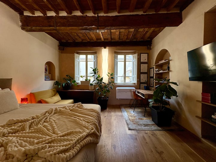 Lucca Luxury Historic Centre Apartment - Apartments for Rent in Lucca ...