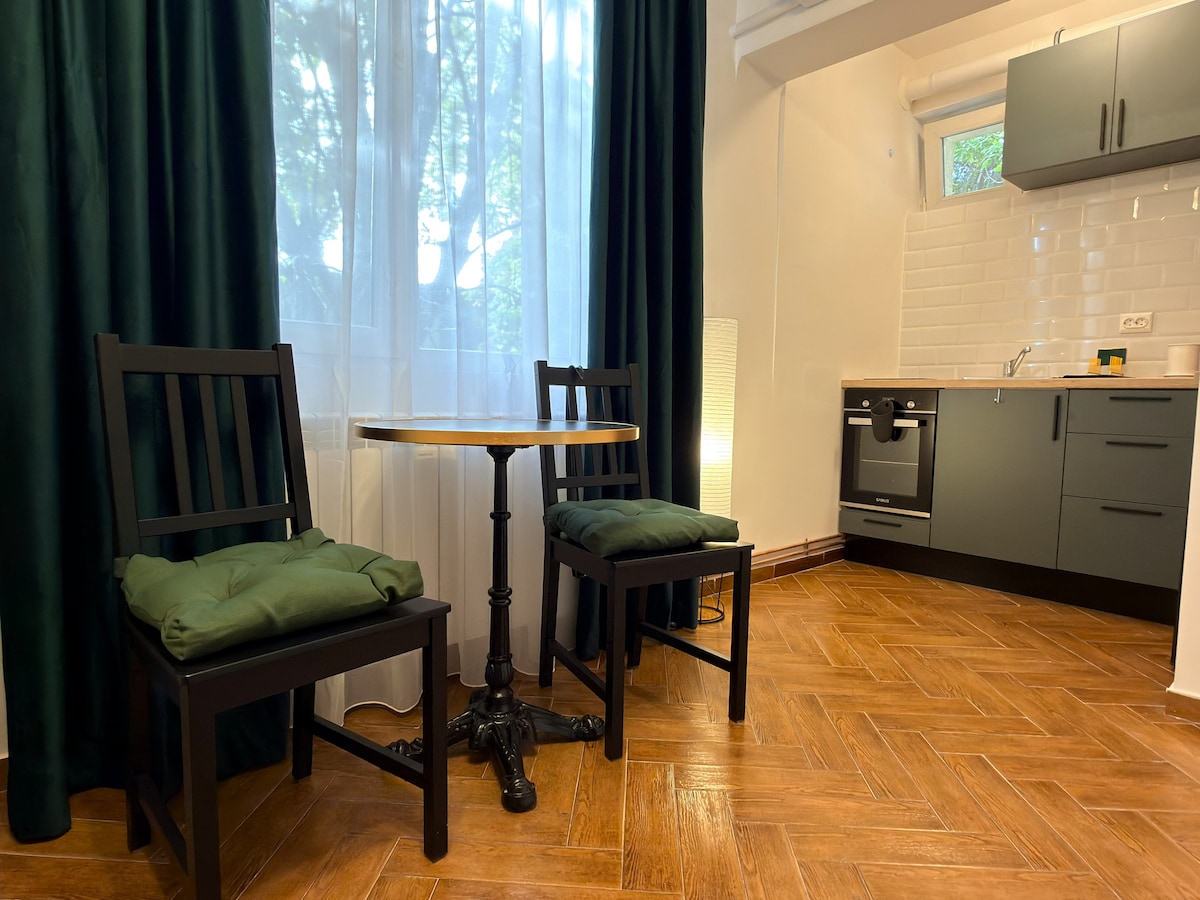 Modern Studio in Primaverii - Apartments for Rent in Bucharest ...