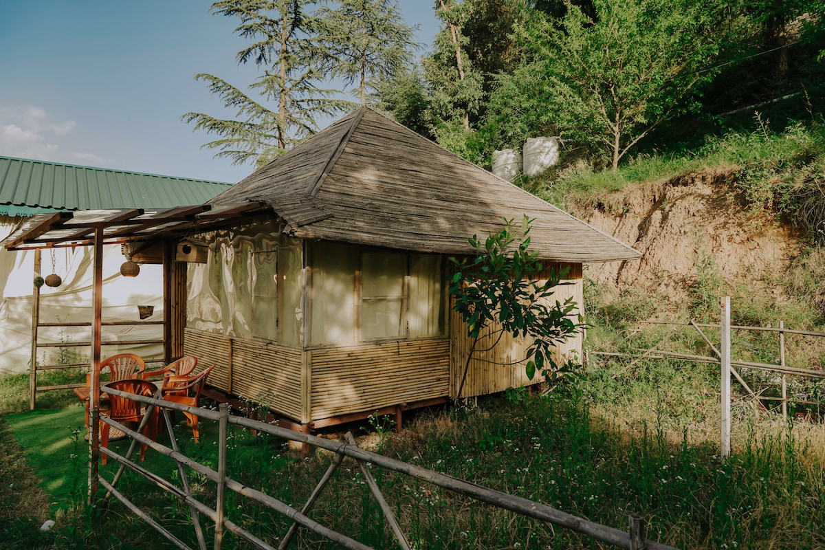 Bamboo Dub by Vamsa - Yurts for Rent in Chail, Himachal Pradesh, India ...