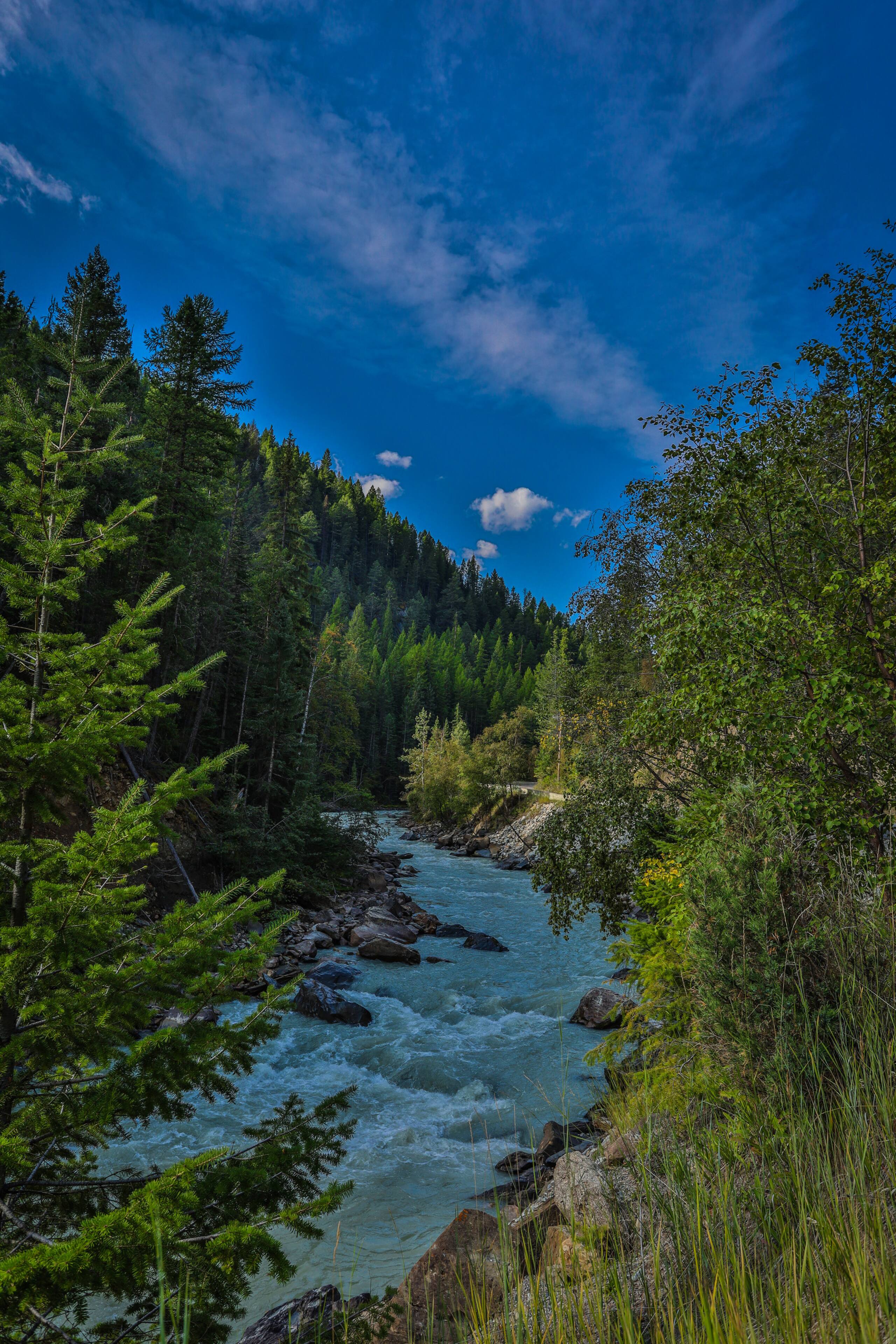 Studio at Horsethief Lodge - Photo 4