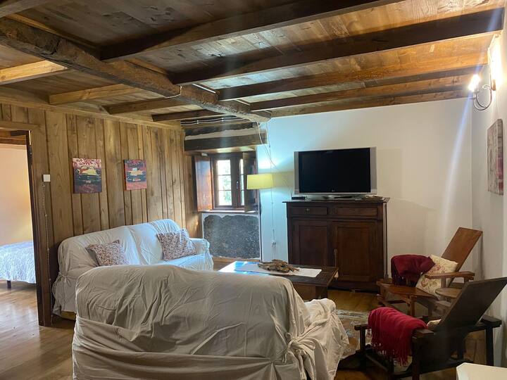 Casa De Aldea Goje - Taramundi