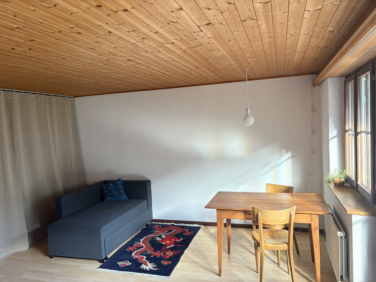 Studio with parking space near the train station for WEF 2027 ...