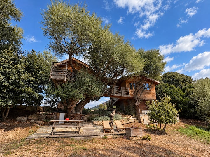 Cabane Stella - Corsica