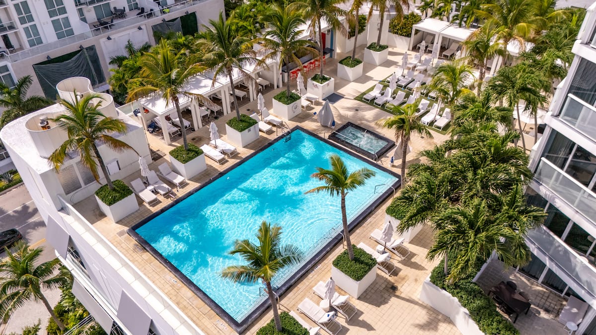 Outdoor pool surrounded by palms at the W Residences in Fort Lauderdale
