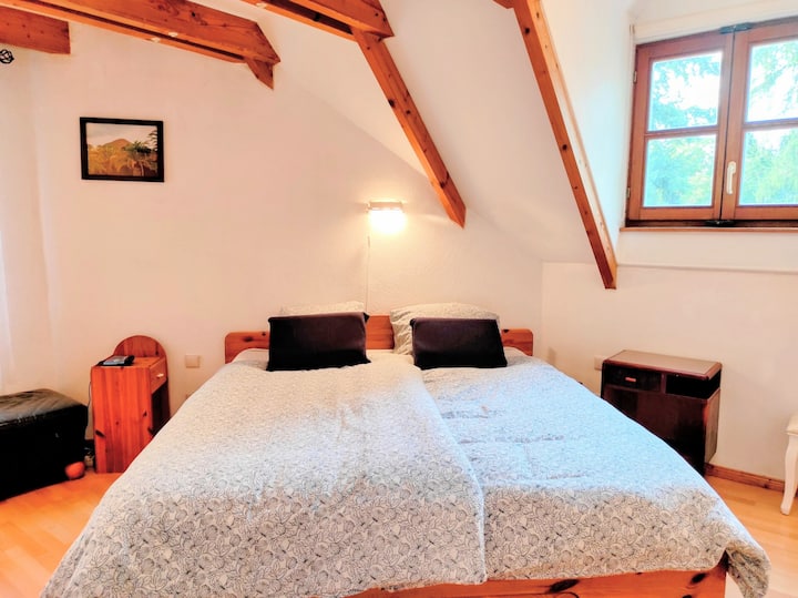 groot tweepersoonsbed met tv