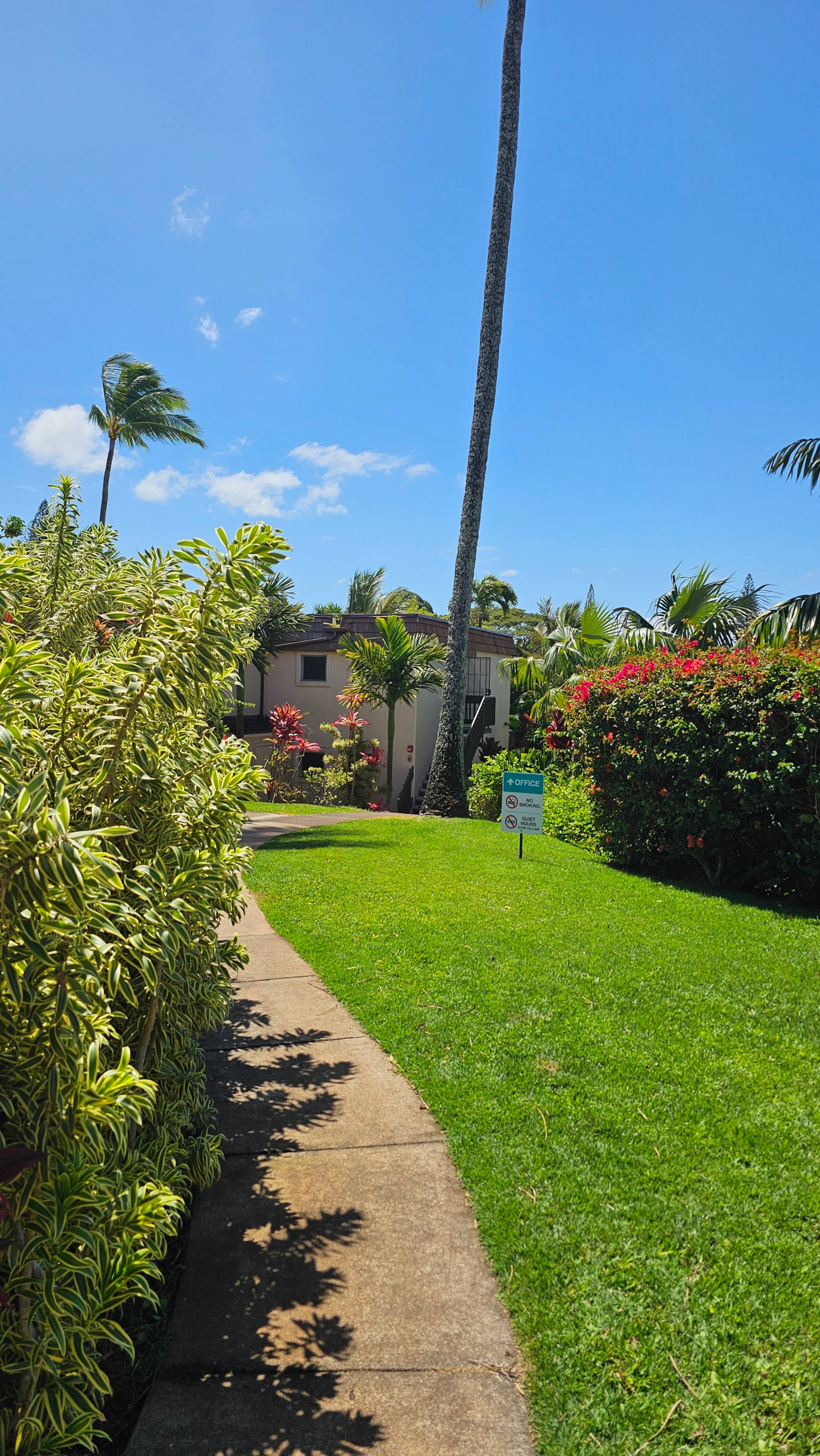 1BD Condo, short walk to beautiful Napili Bay - Image 23