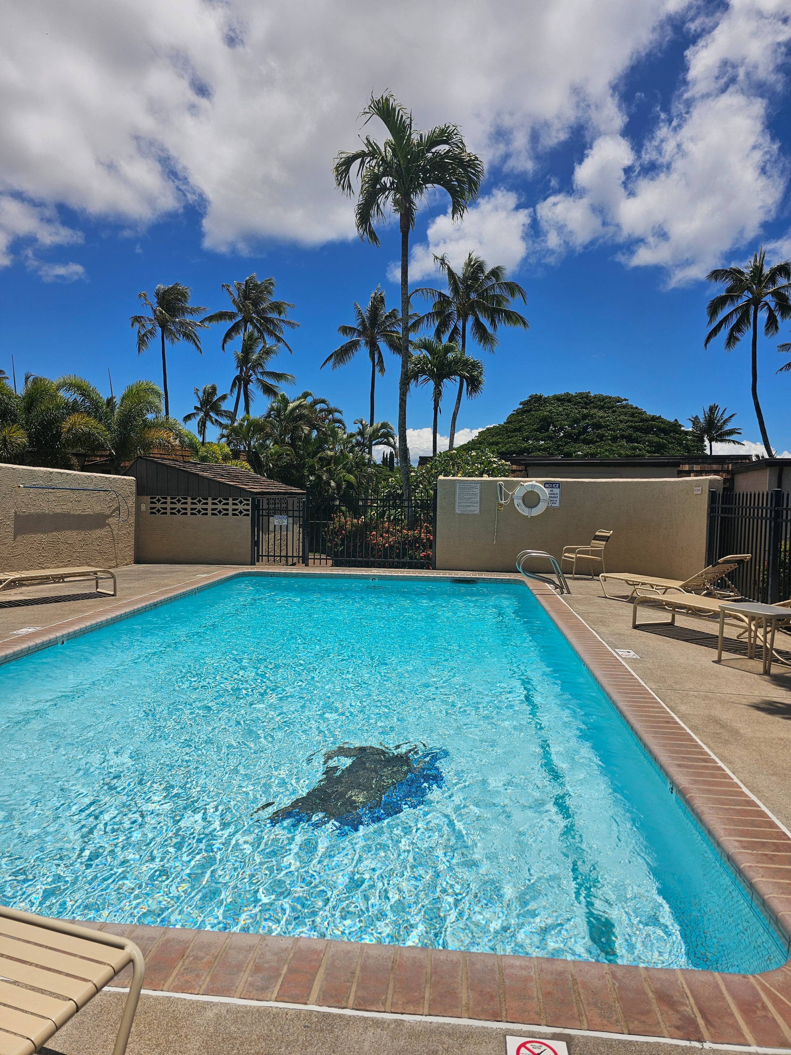 1BD Condo, short walk to beautiful Napili Bay - Image 22
