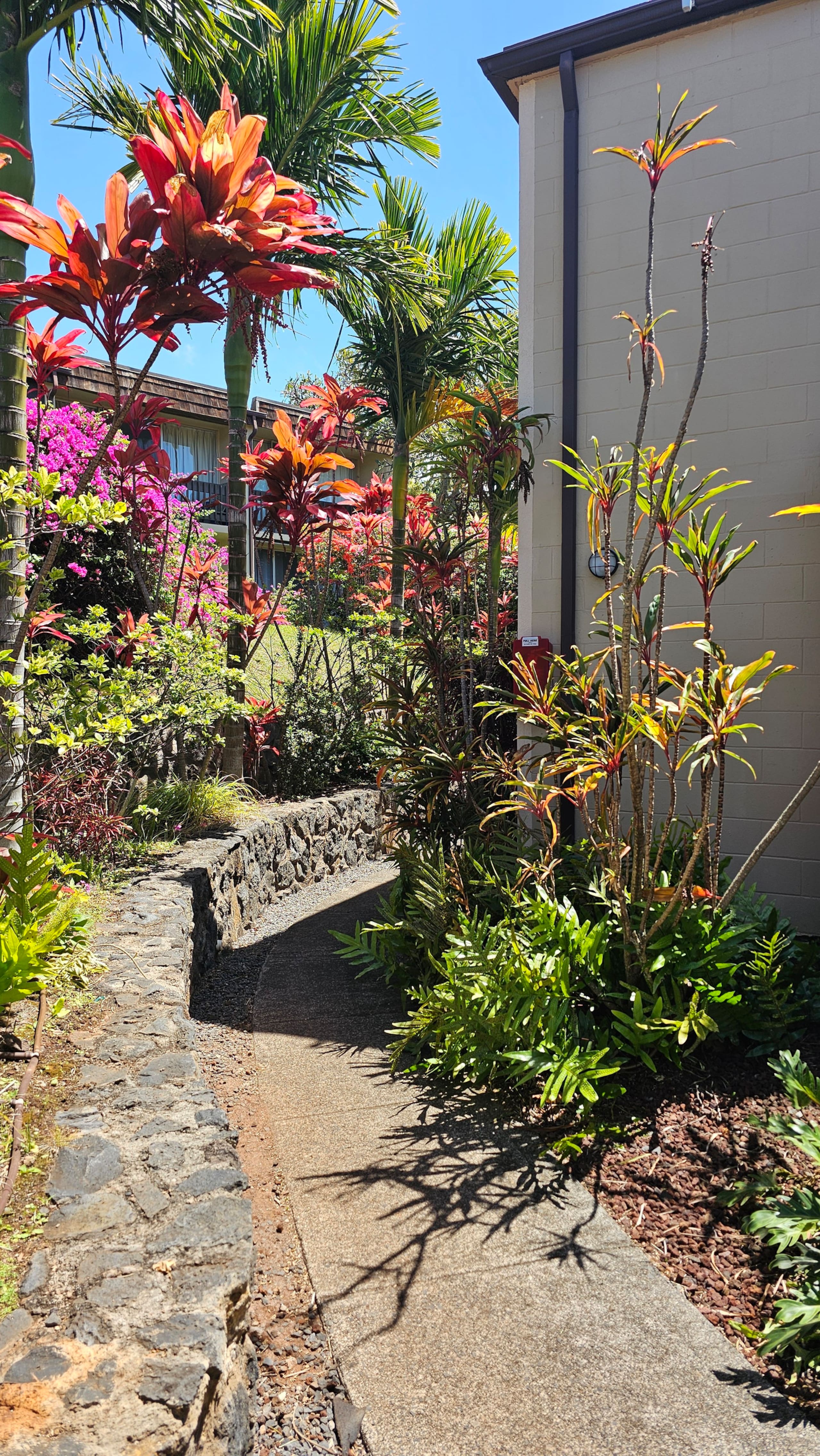 1BD Condo, short walk to beautiful Napili Bay - Image 26