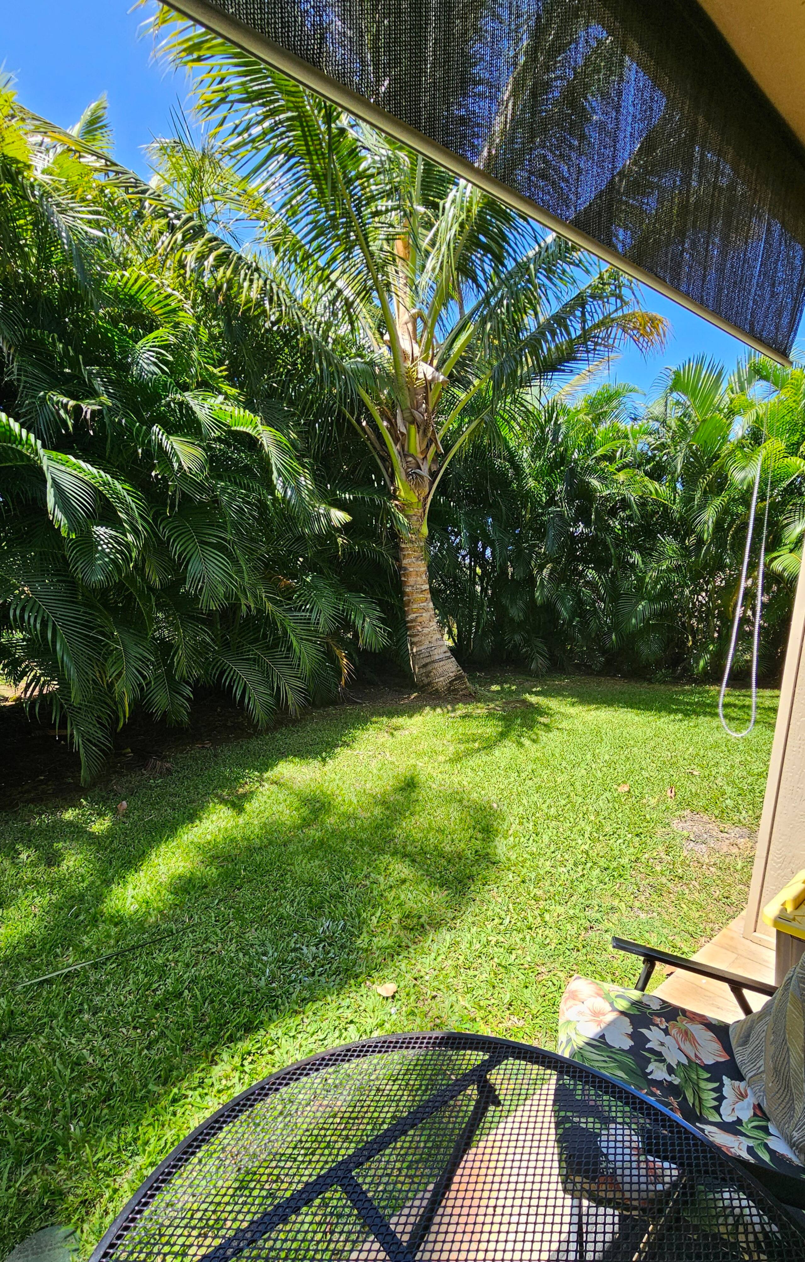 1BD Condo, short walk to beautiful Napili Bay - Image 19