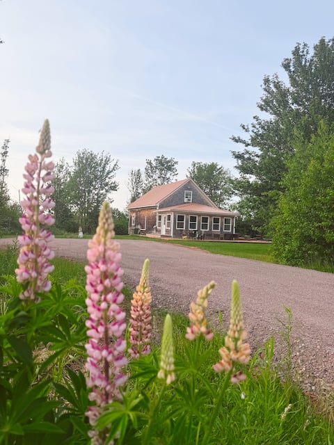 Golfers Hideout - PEI vacation home