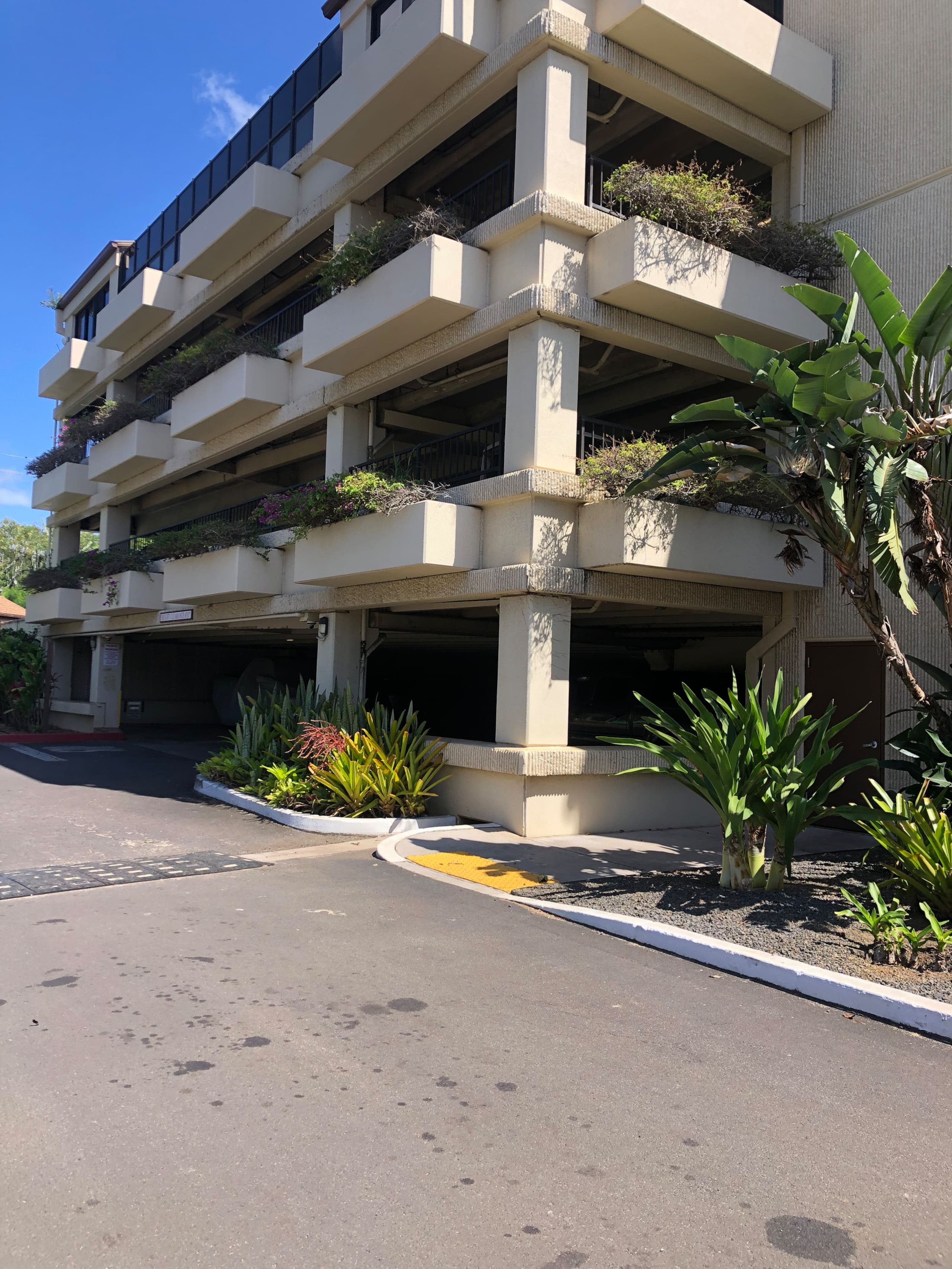 Prince Kuhio Quiet, Private, End Unit-Ground Floor - Photo 7