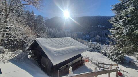 Clos-du-Nant, charming chalet for rent (Gryon)