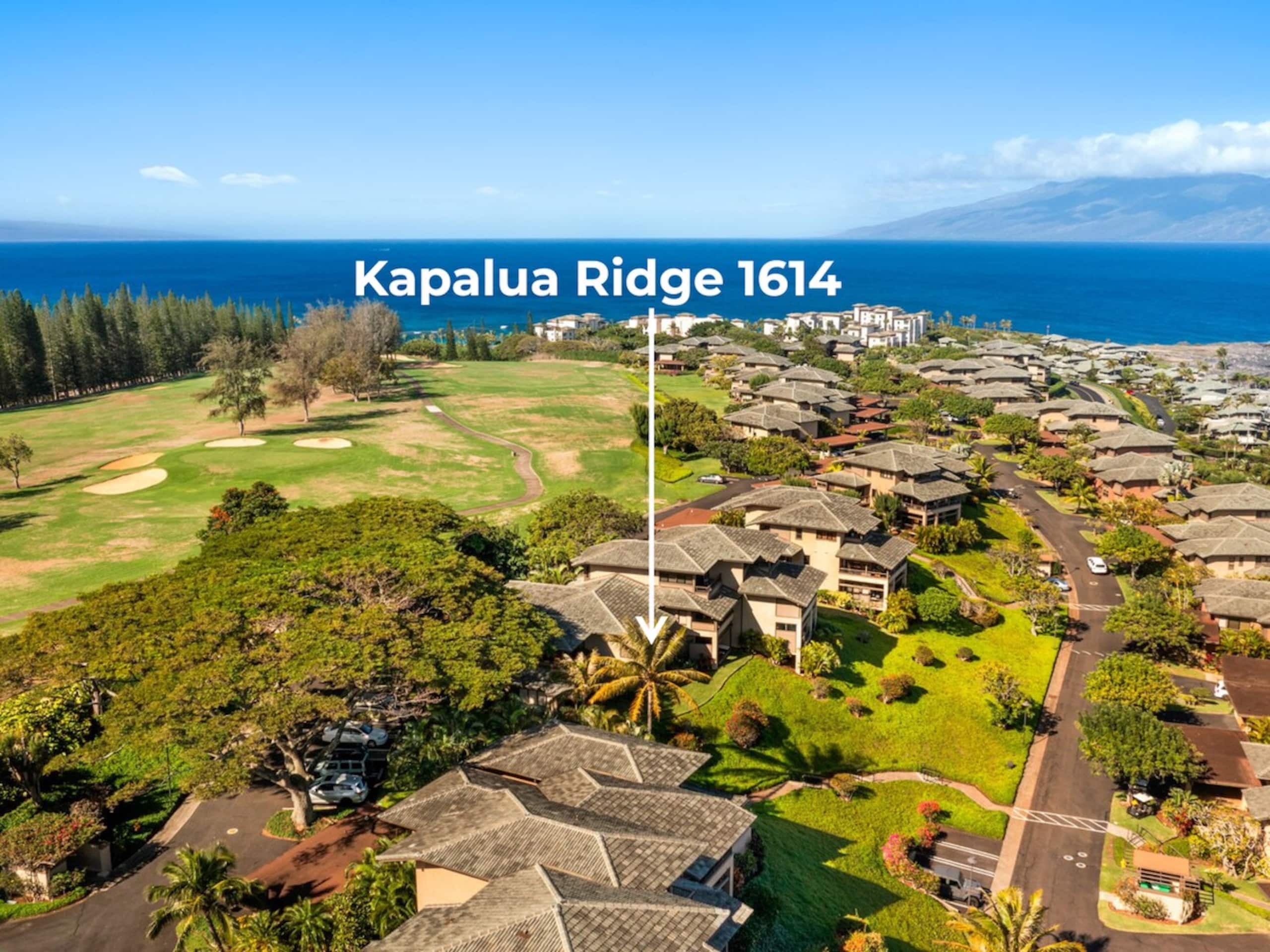 Villa in Lahaina · ★4.96 · 1 bedroom · 2 beds · 2 baths - Image 2