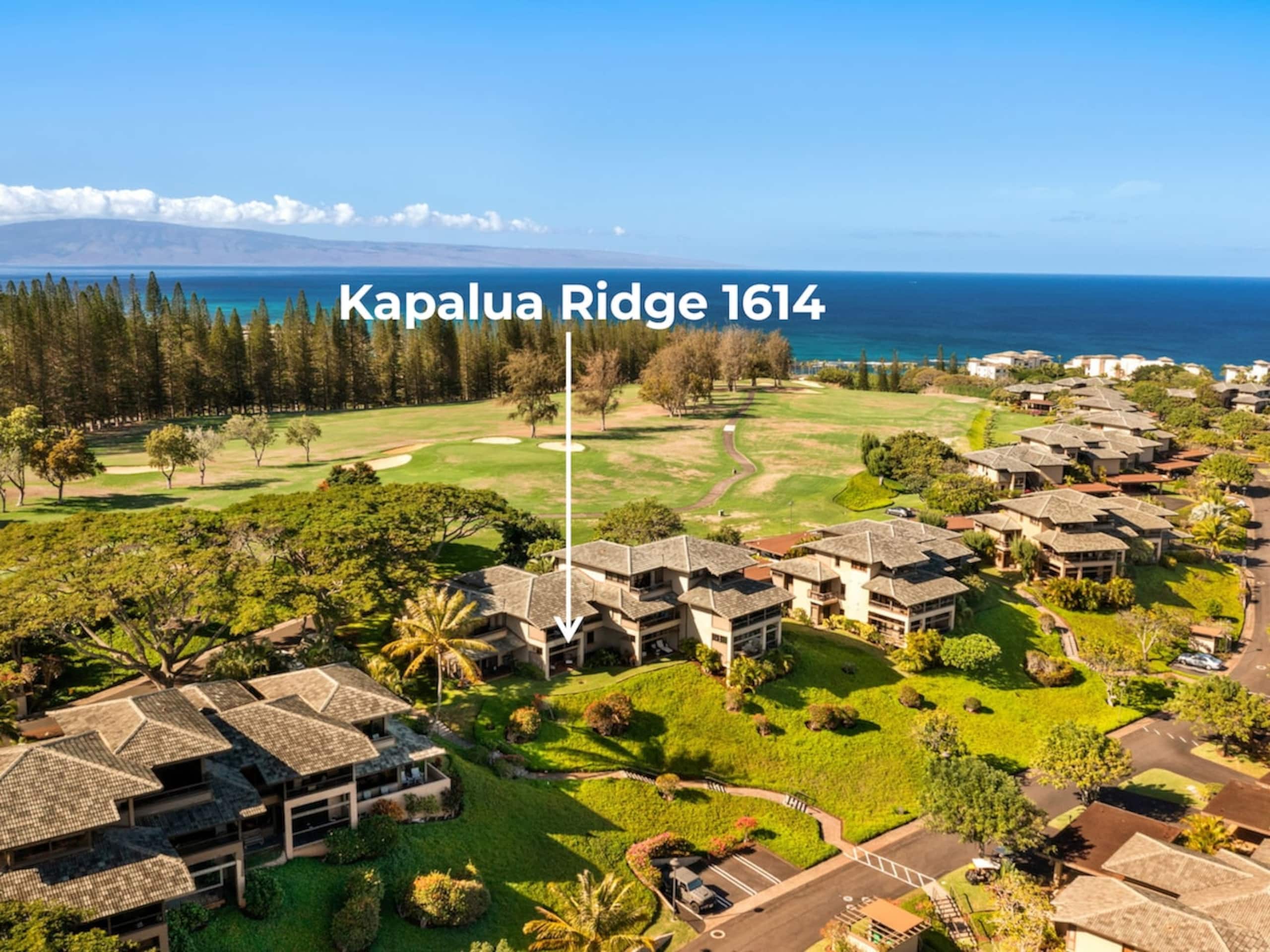 Villa in Lahaina · ★4.96 · 1 bedroom · 2 beds · 2 baths - Image 22
