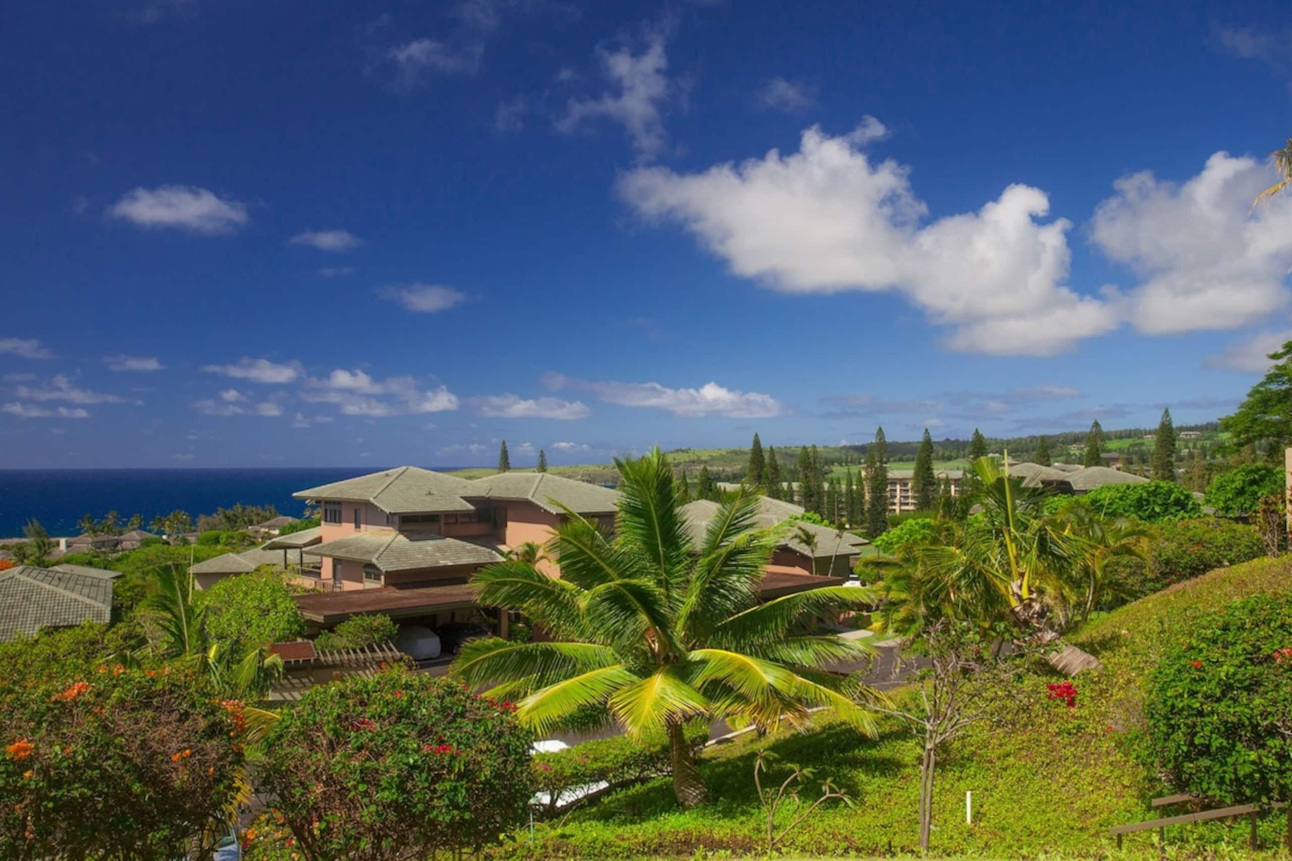 Villa in Lahaina · ★4.96 · 1 bedroom · 2 beds · 2 baths - Image 20