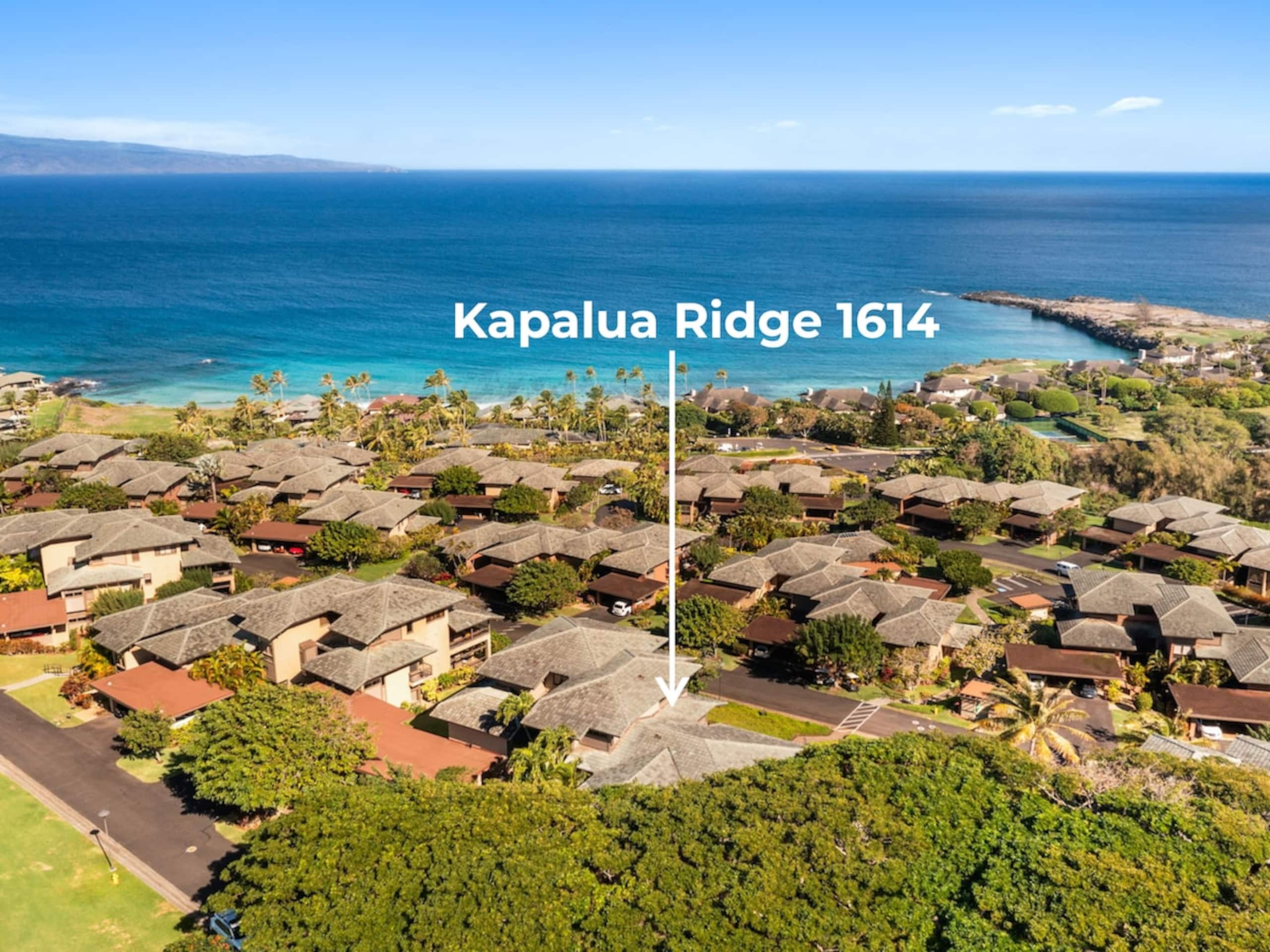 Villa in Lahaina · ★4.96 · 1 bedroom · 2 beds · 2 baths - Image 3