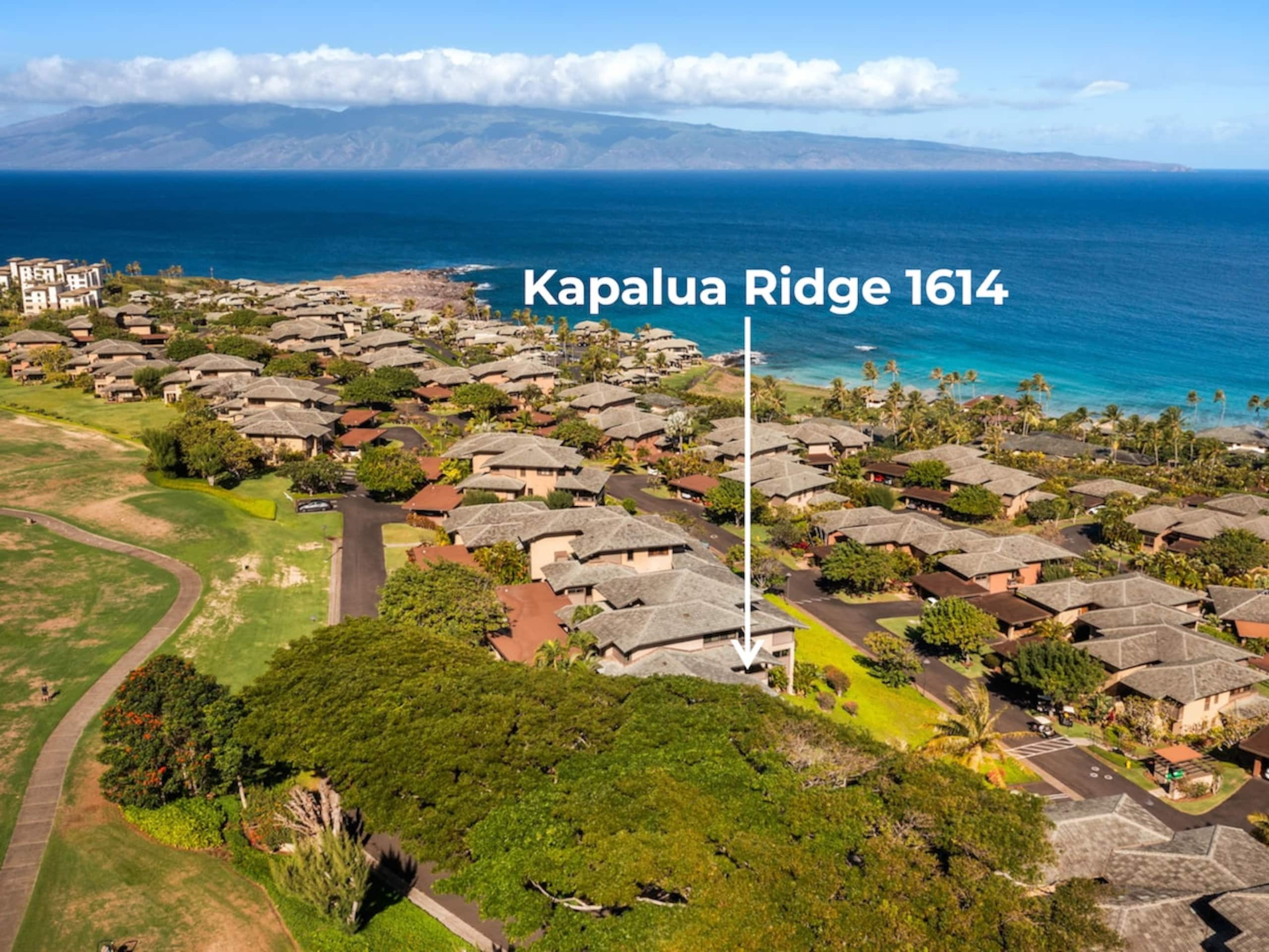 Villa in Lahaina · ★4.96 · 1 bedroom · 2 beds · 2 baths - Image 21