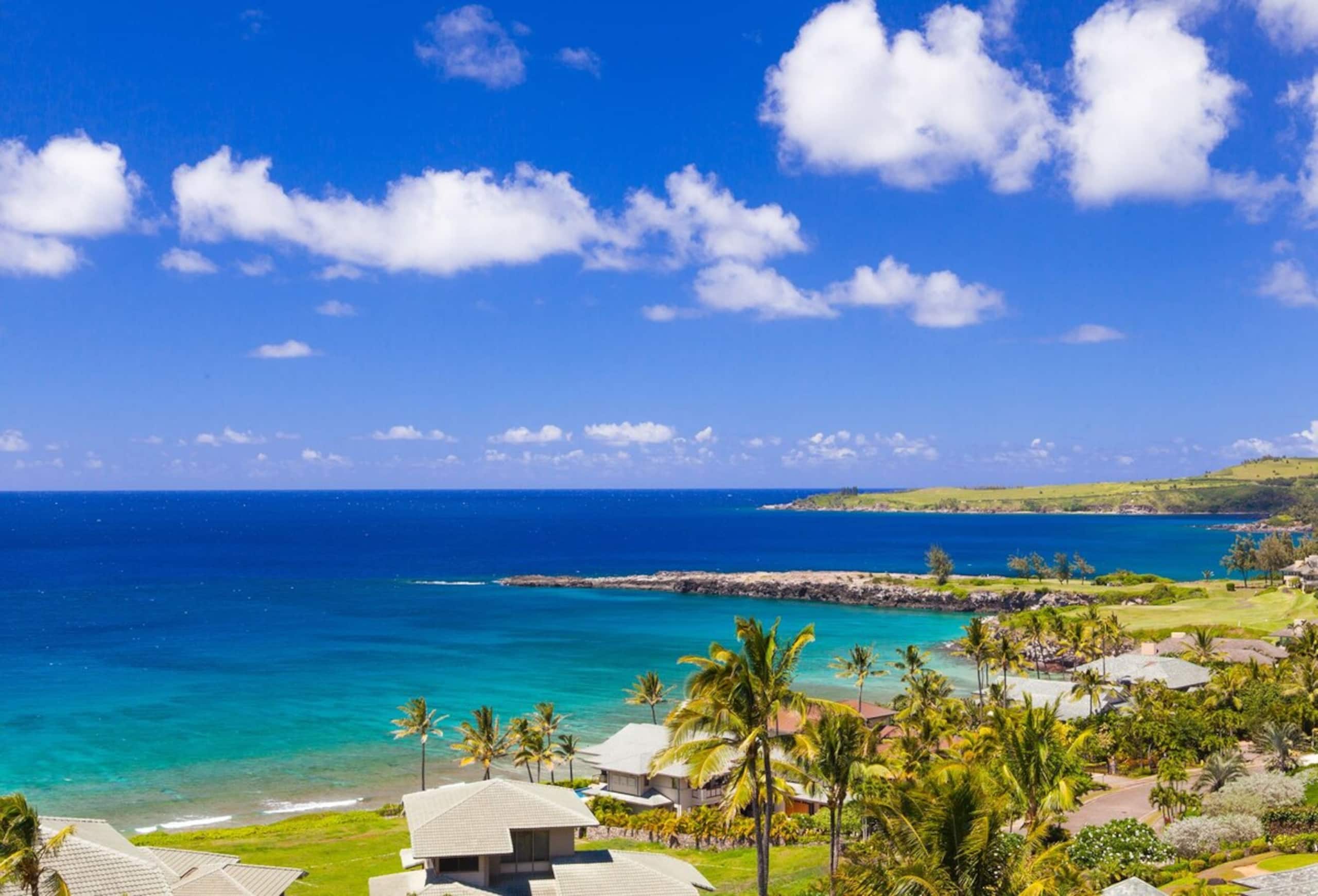Villa in Lahaina · ★4.93 · 2 bedrooms · 4 beds · 3 baths - Image 50