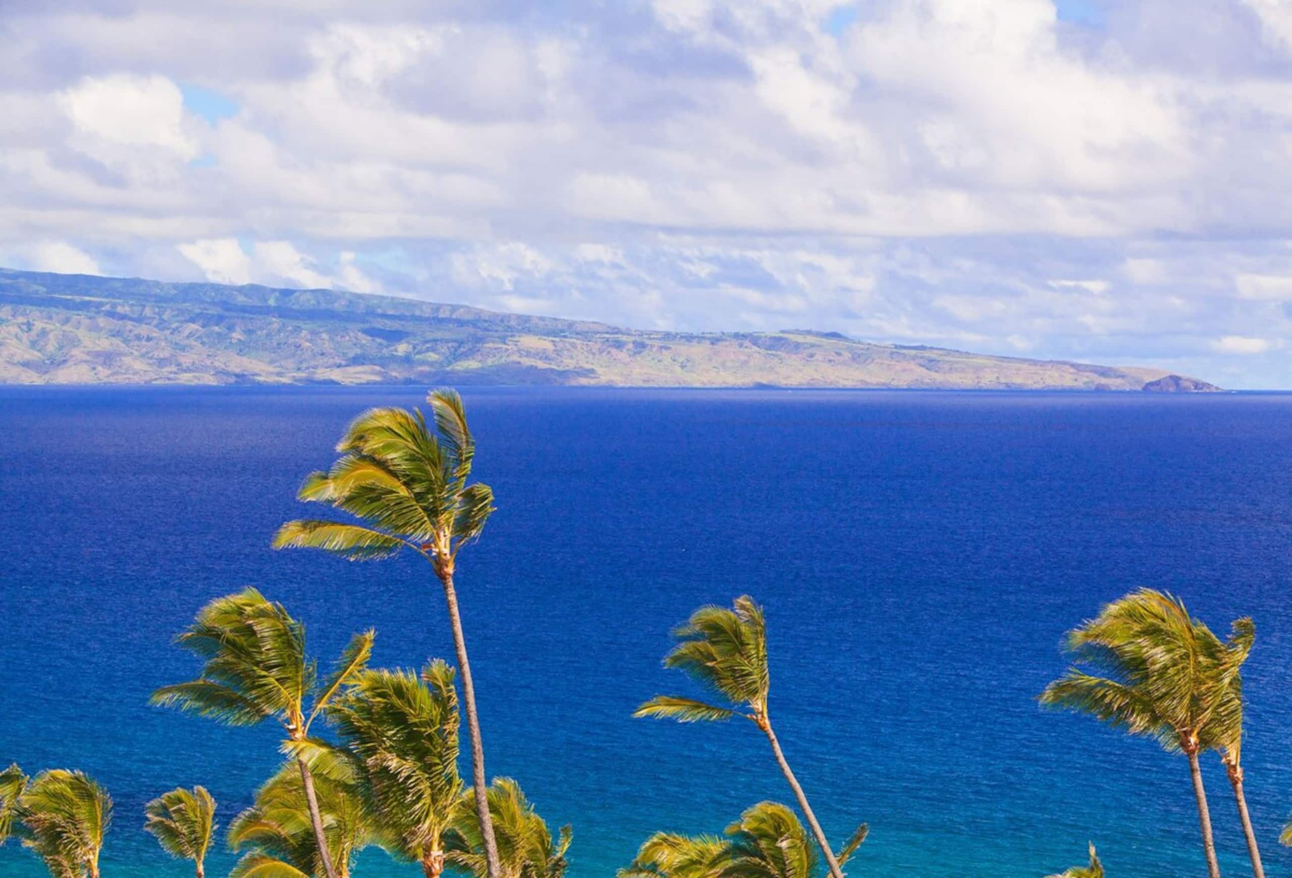 Villa in Lahaina · ★4.93 · 2 bedrooms · 4 beds · 3 baths - Image 8