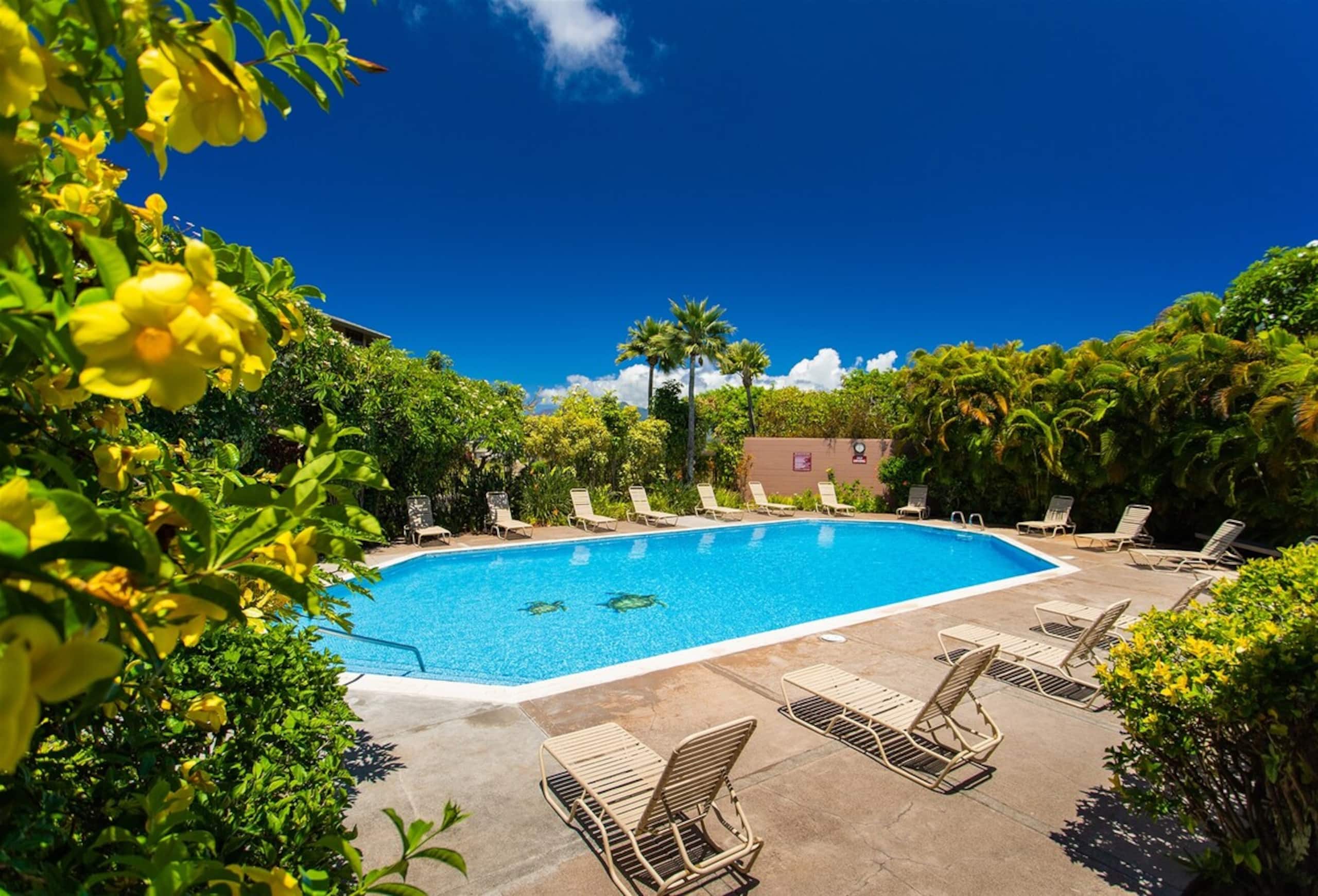 Villa in Lahaina · ★4.93 · 2 bedrooms · 4 beds · 3 baths - Image 54