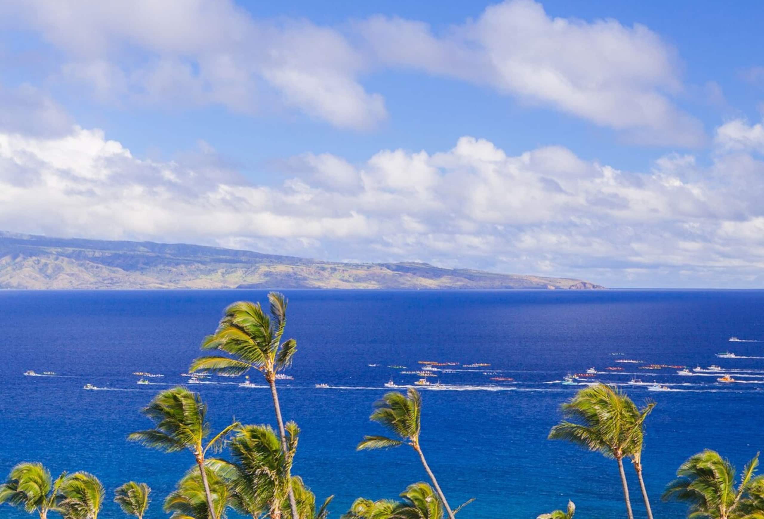 Villa in Lahaina · ★4.93 · 2 bedrooms · 4 beds · 3 baths - Image 39