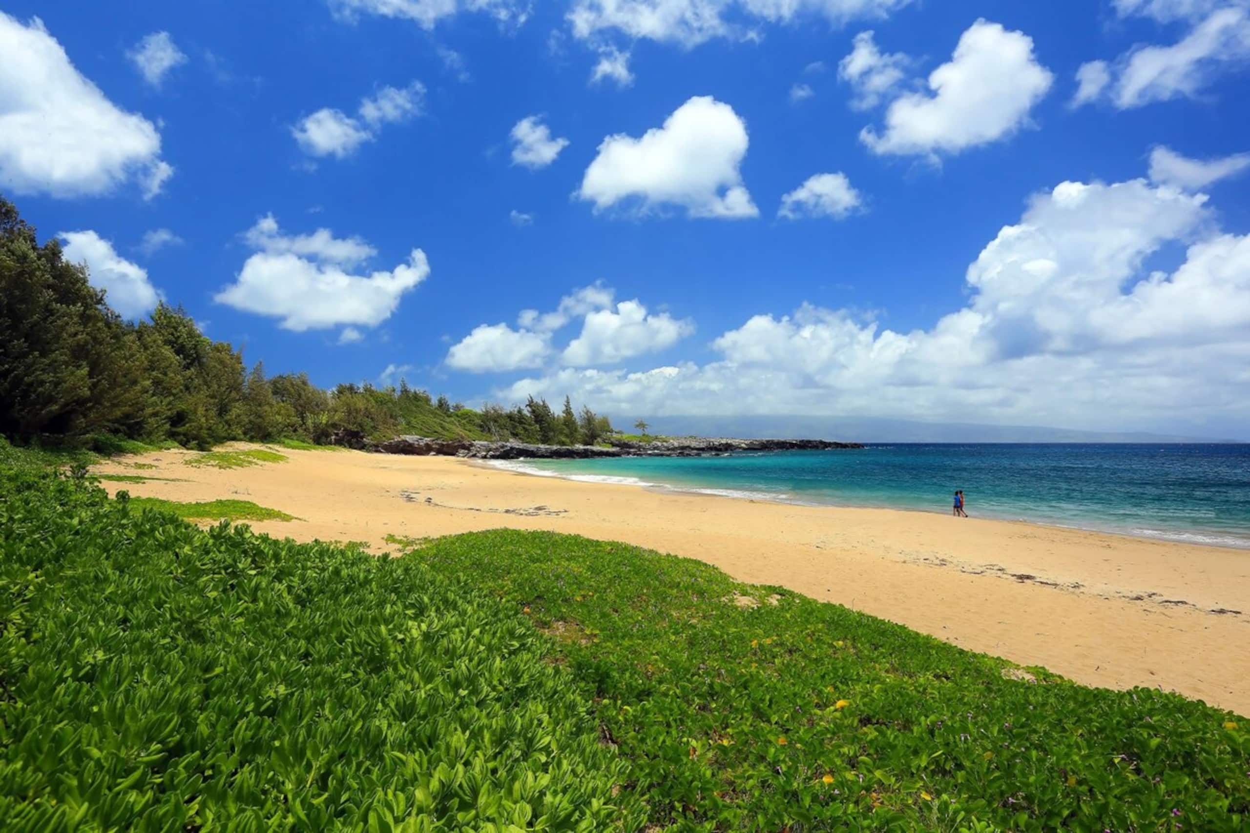 Villa in Lahaina · ★4.93 · 2 bedrooms · 4 beds · 3 baths - Image 63