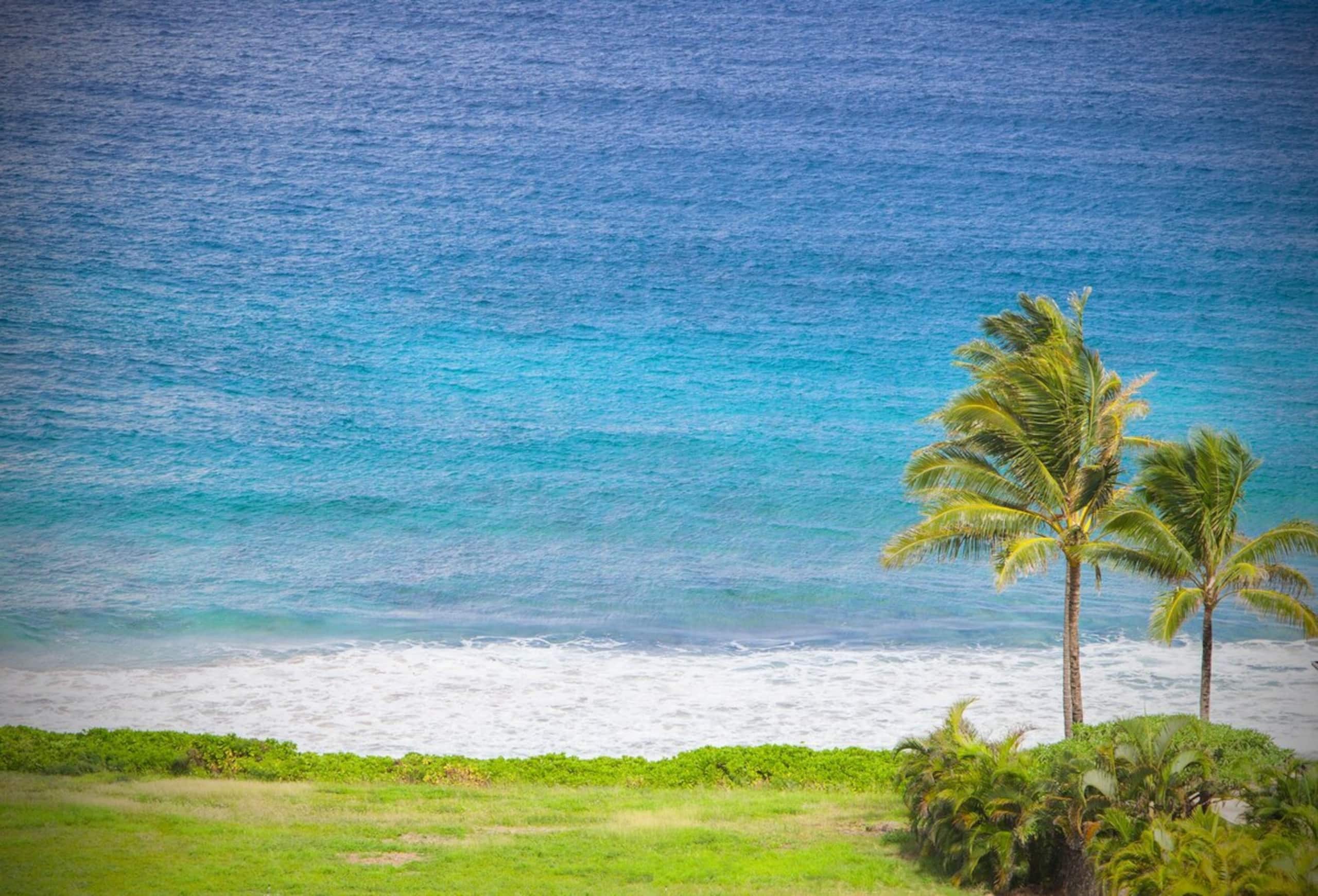 Villa in Lahaina · ★4.93 · 2 bedrooms · 4 beds · 3 baths - Image 49