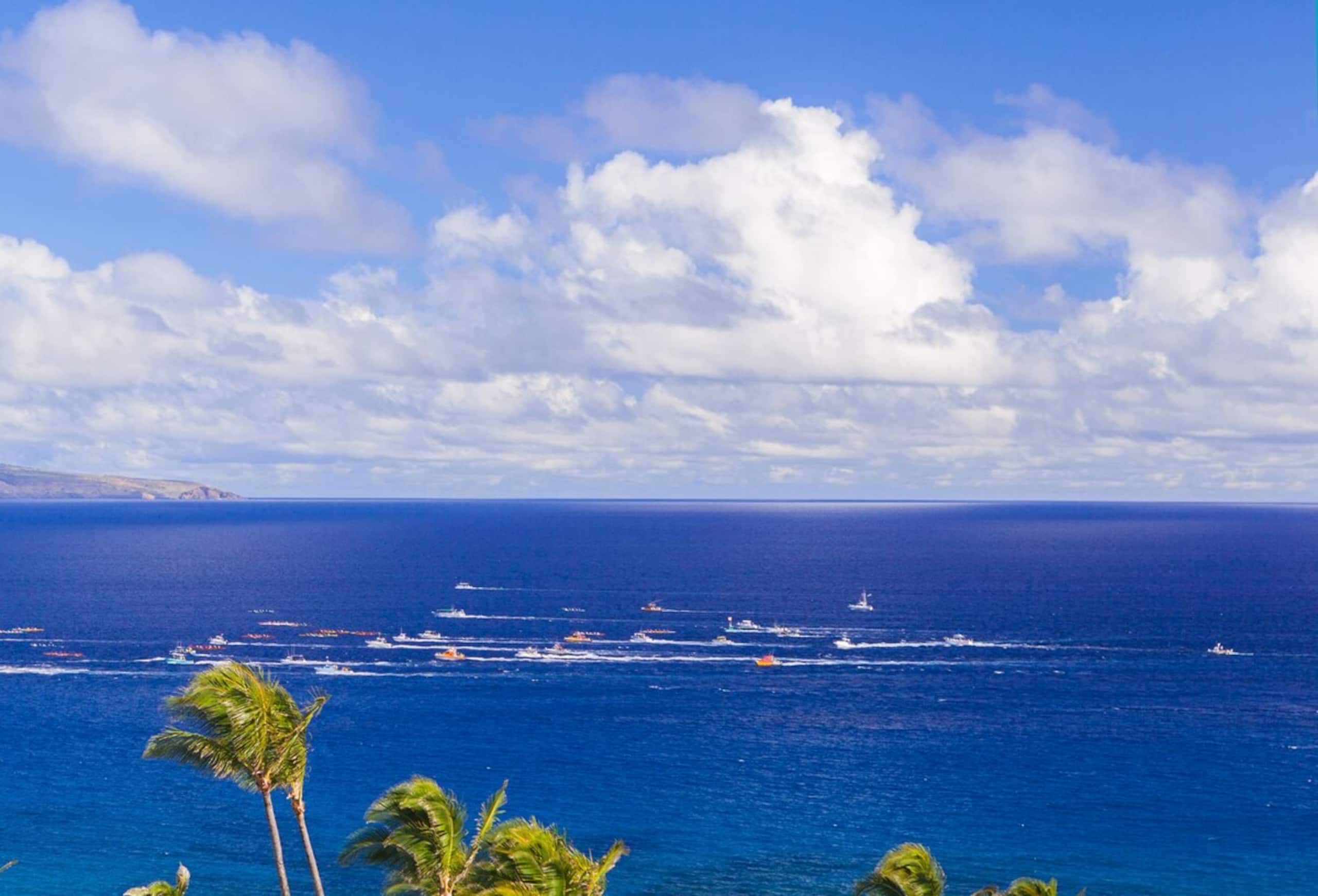 Villa in Lahaina · ★4.93 · 2 bedrooms · 4 beds · 3 baths - Image 52